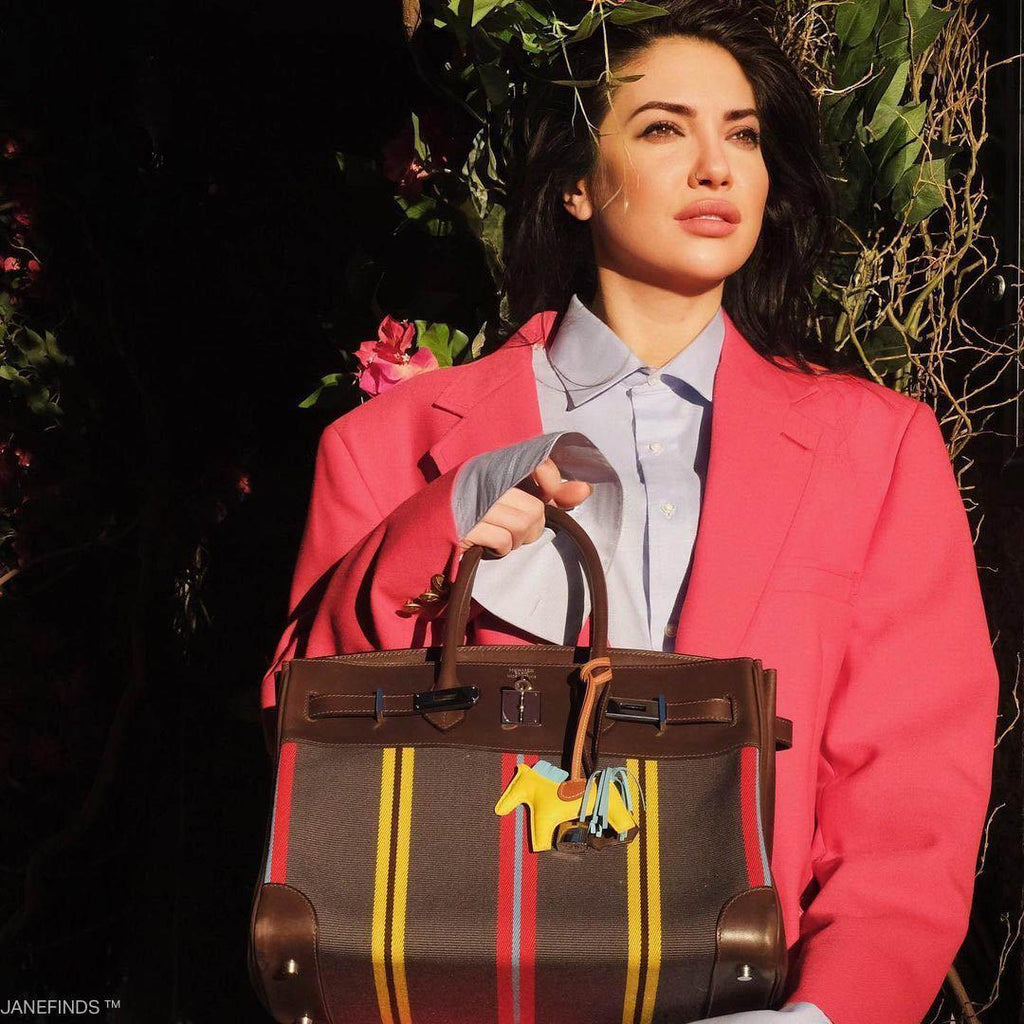 Hermès Jumping Birkin 35 Multicolor Canvas and Ebene Box Palladium Hardware