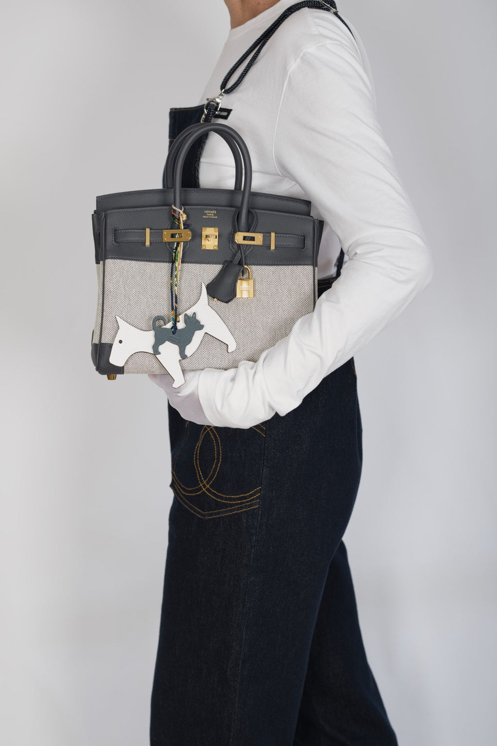 Hermès Limited Edition Birkin 25 in Écru and Ardoise Toile H and Veau Swift Gold Hardware