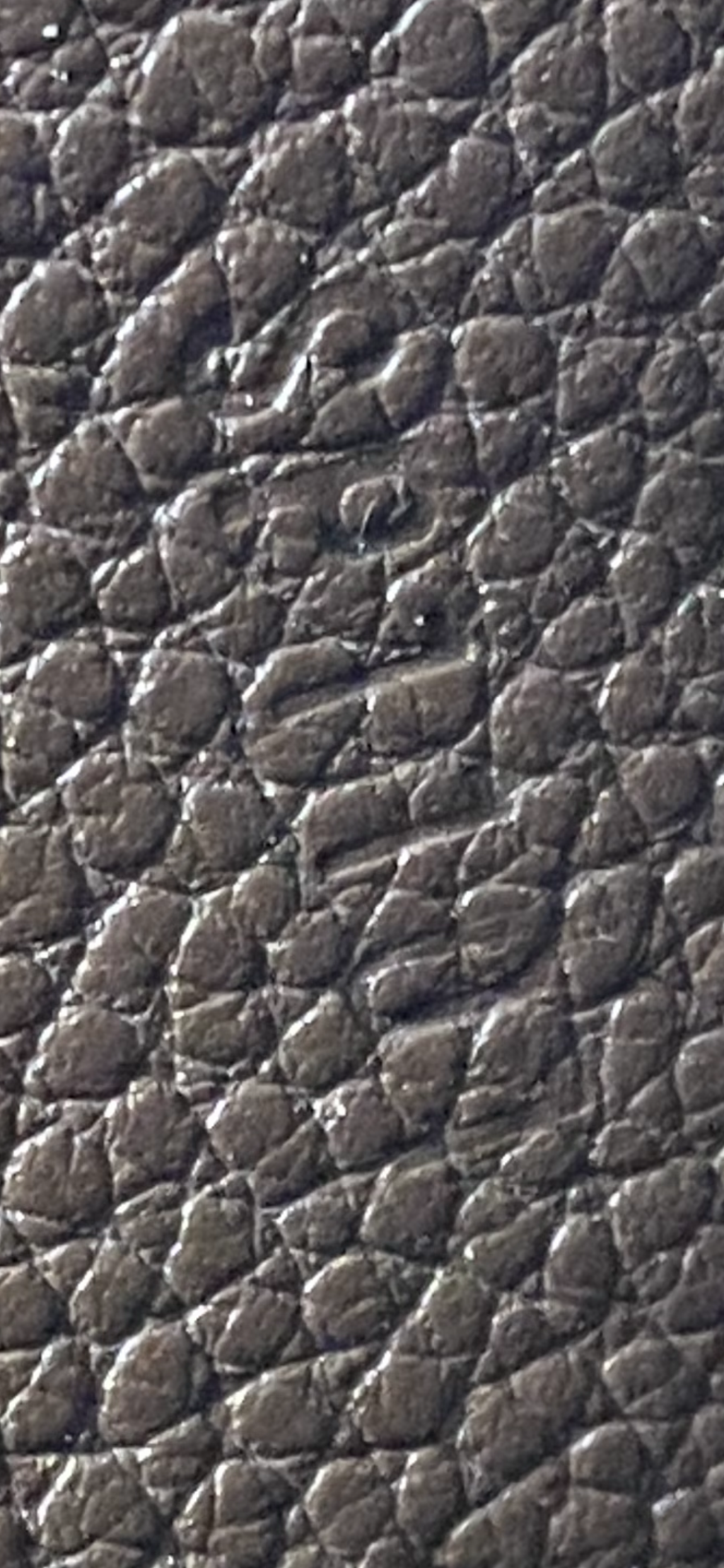 Louis Vuitton Brown Ombre Portefeuille Secret Empreinte Wallet