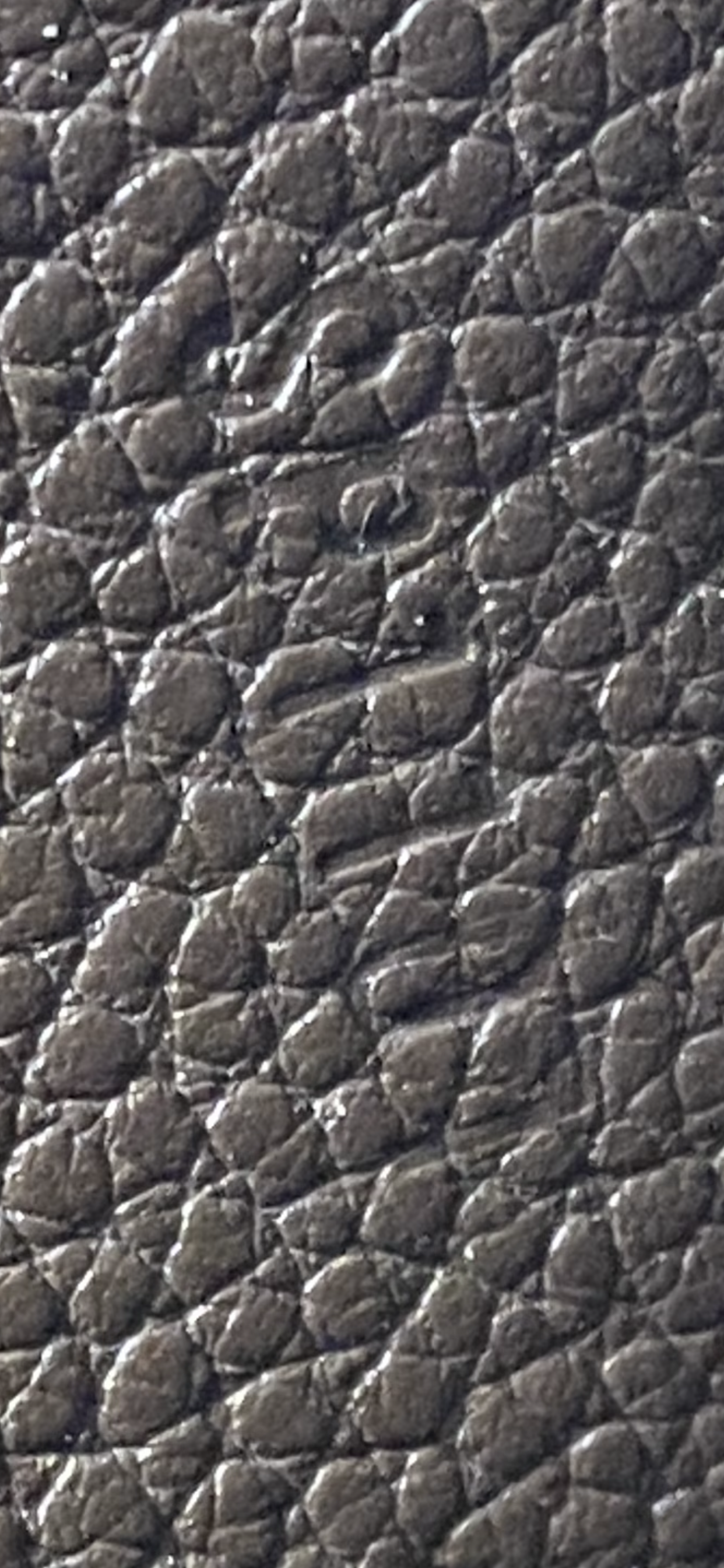 Louis Vuitton Brown Ombre Portefeuille Secret Empreinte Wallet