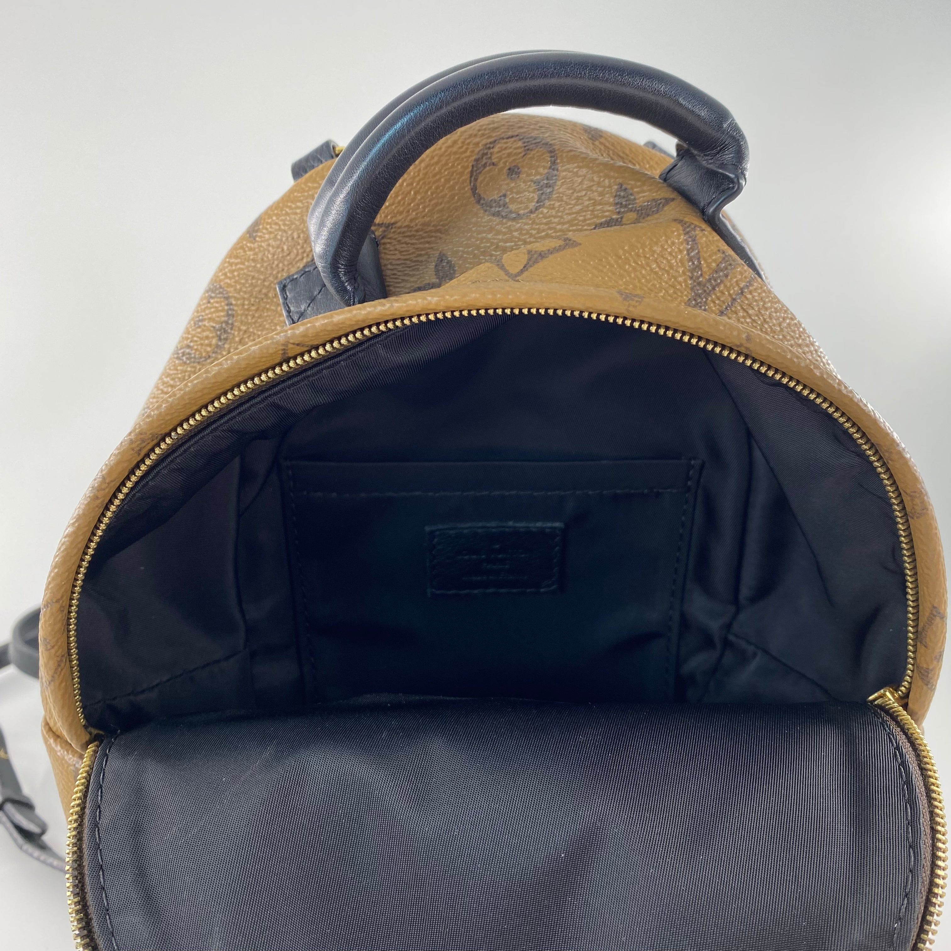 Louis Vuitton Mini Reverse Palm Springs Backpack