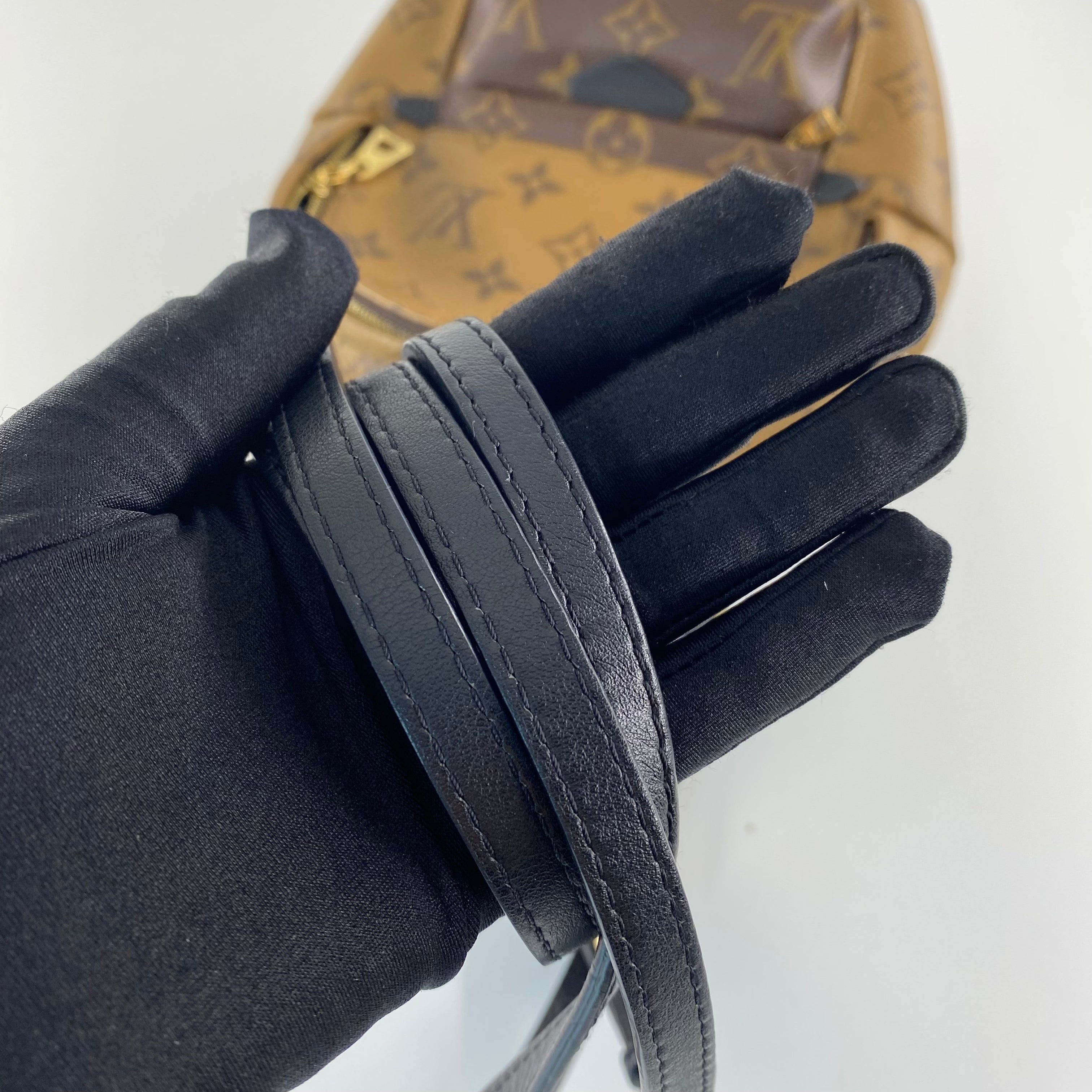 Louis Vuitton Mini Reverse Palm Springs Backpack