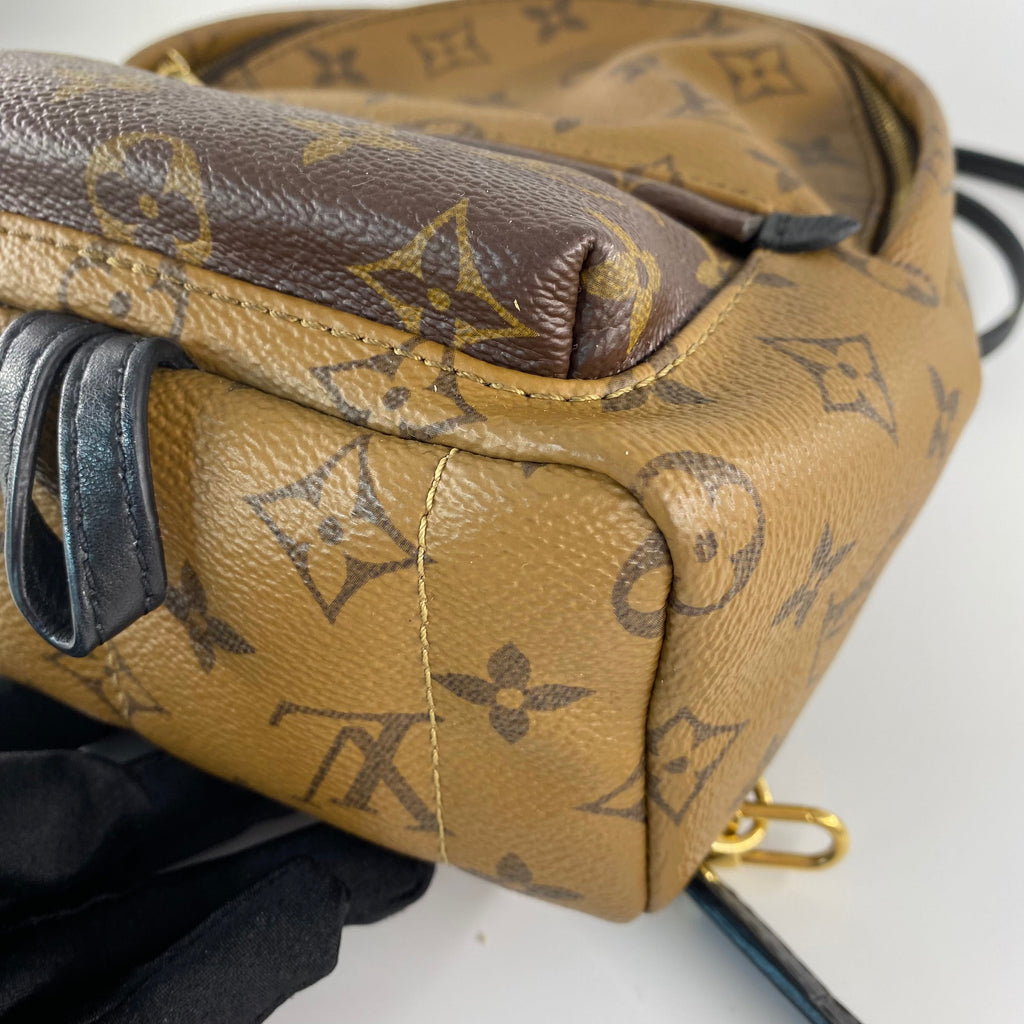Louis Vuitton Mini Reverse Palm Springs Backpack