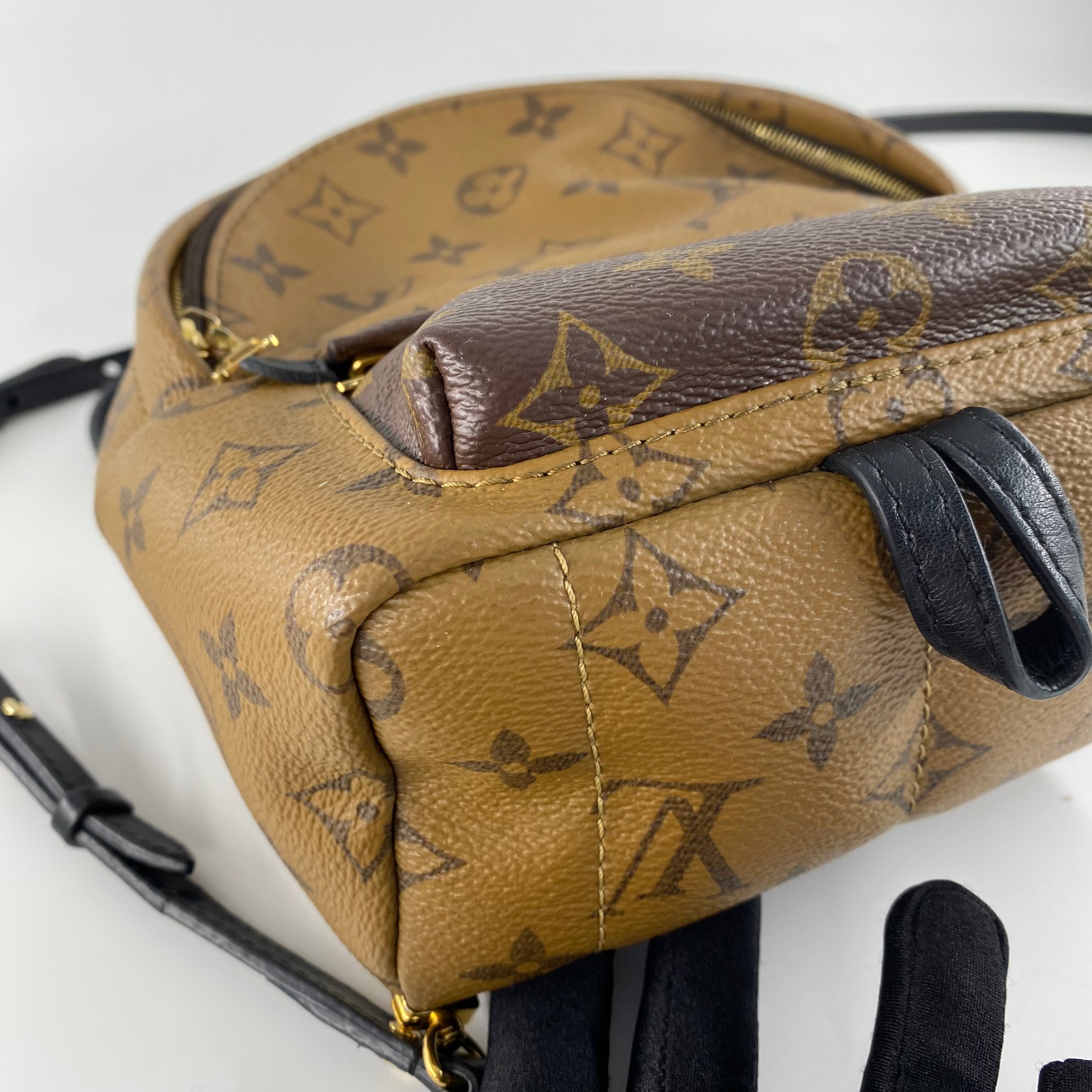 Louis Vuitton Mini Reverse Palm Springs Backpack
