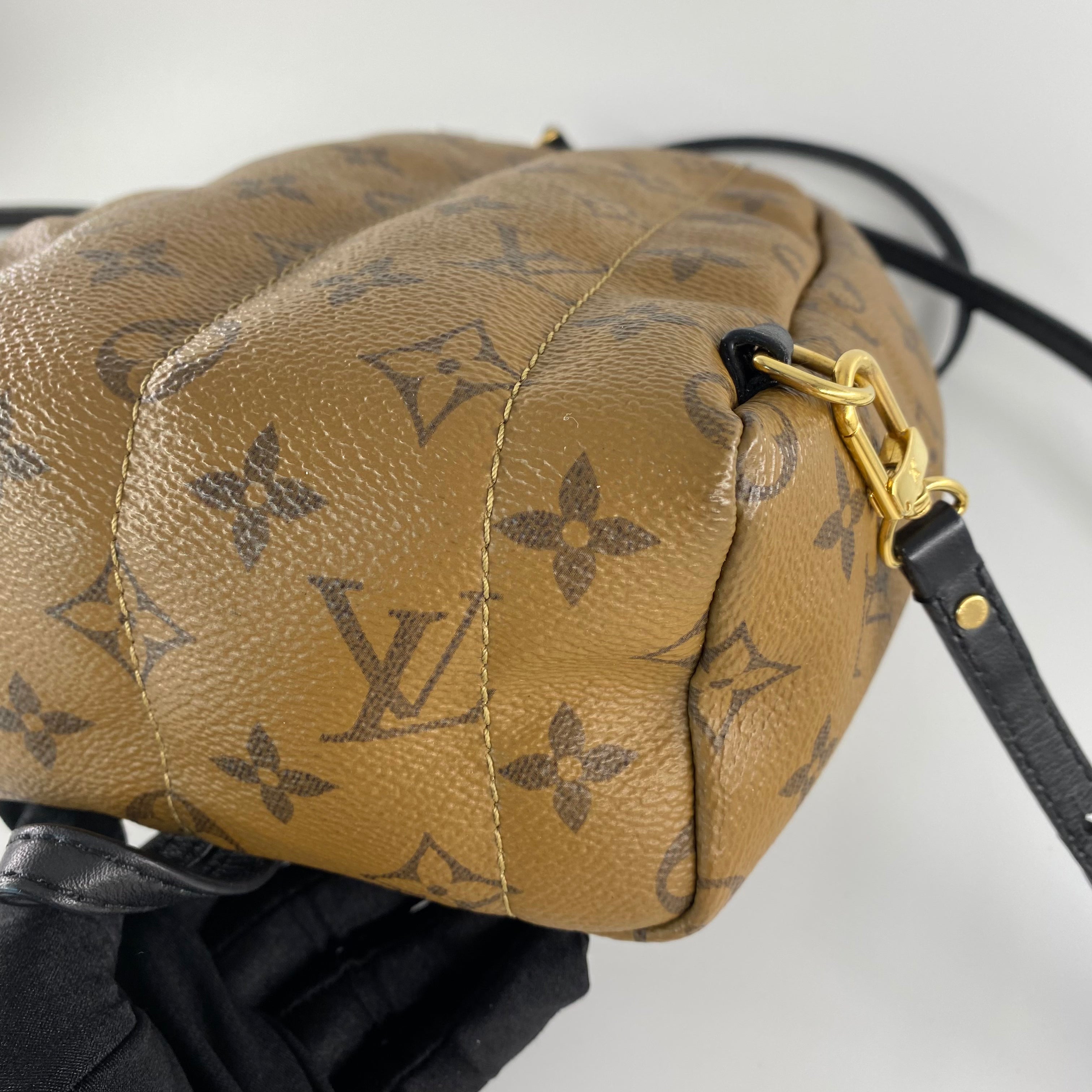 Louis Vuitton Mini Reverse Palm Springs Backpack