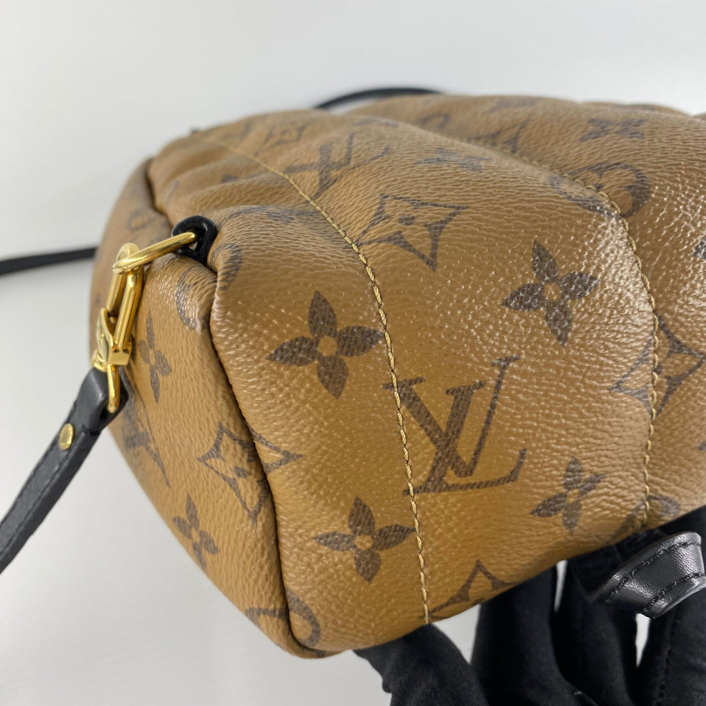 Louis Vuitton Mini Reverse Palm Springs Backpack