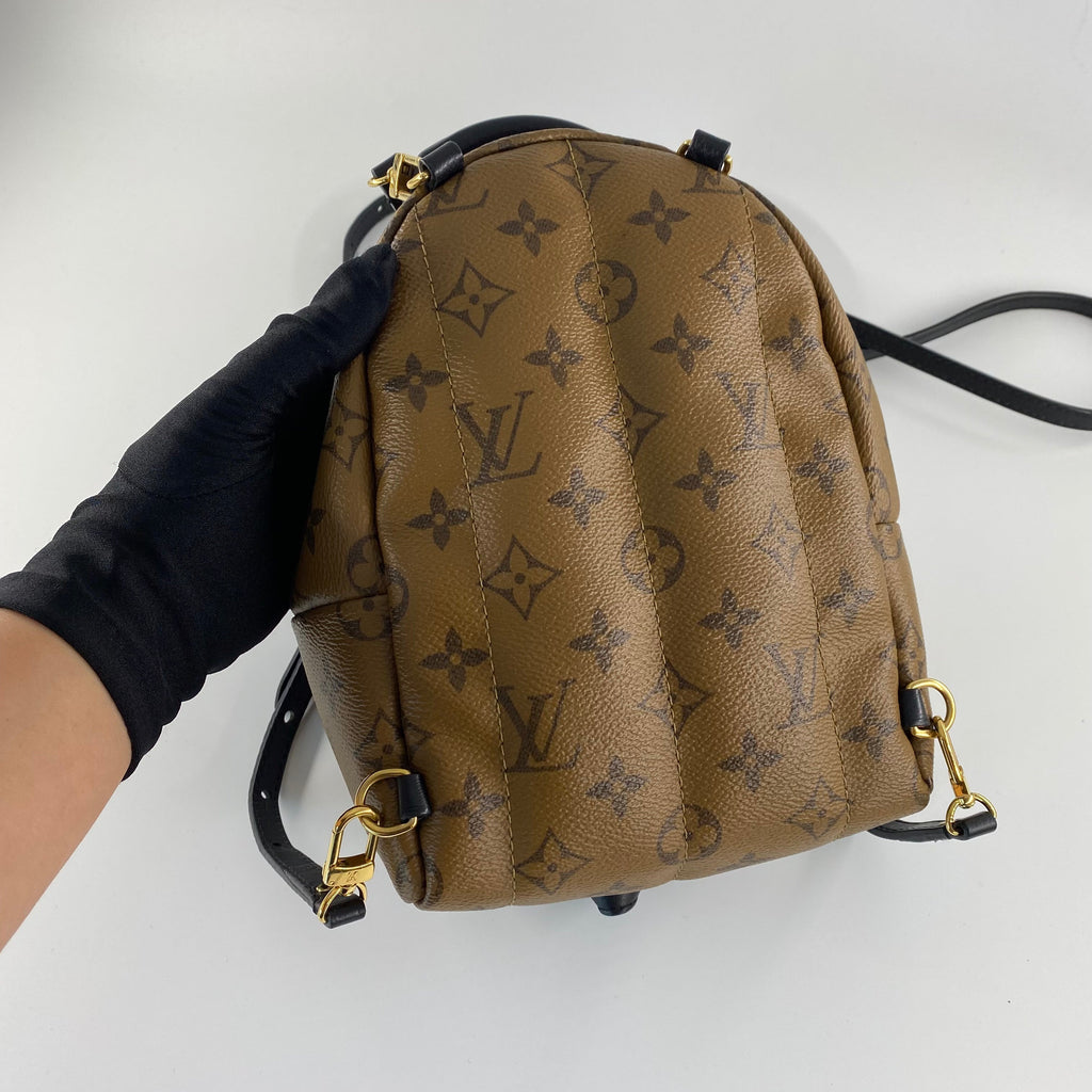 Louis Vuitton Mini Reverse Palm Springs Backpack
