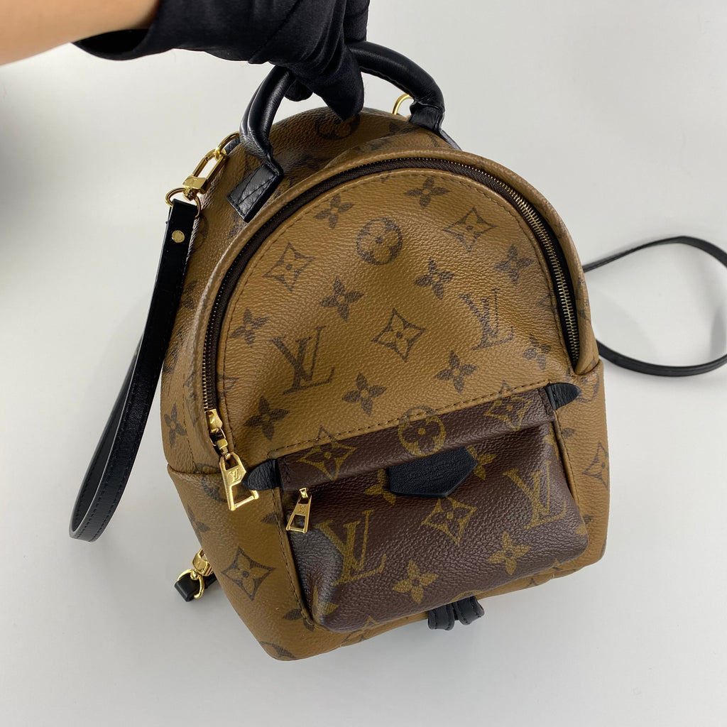 Louis Vuitton Mini Reverse Palm Springs Backpack