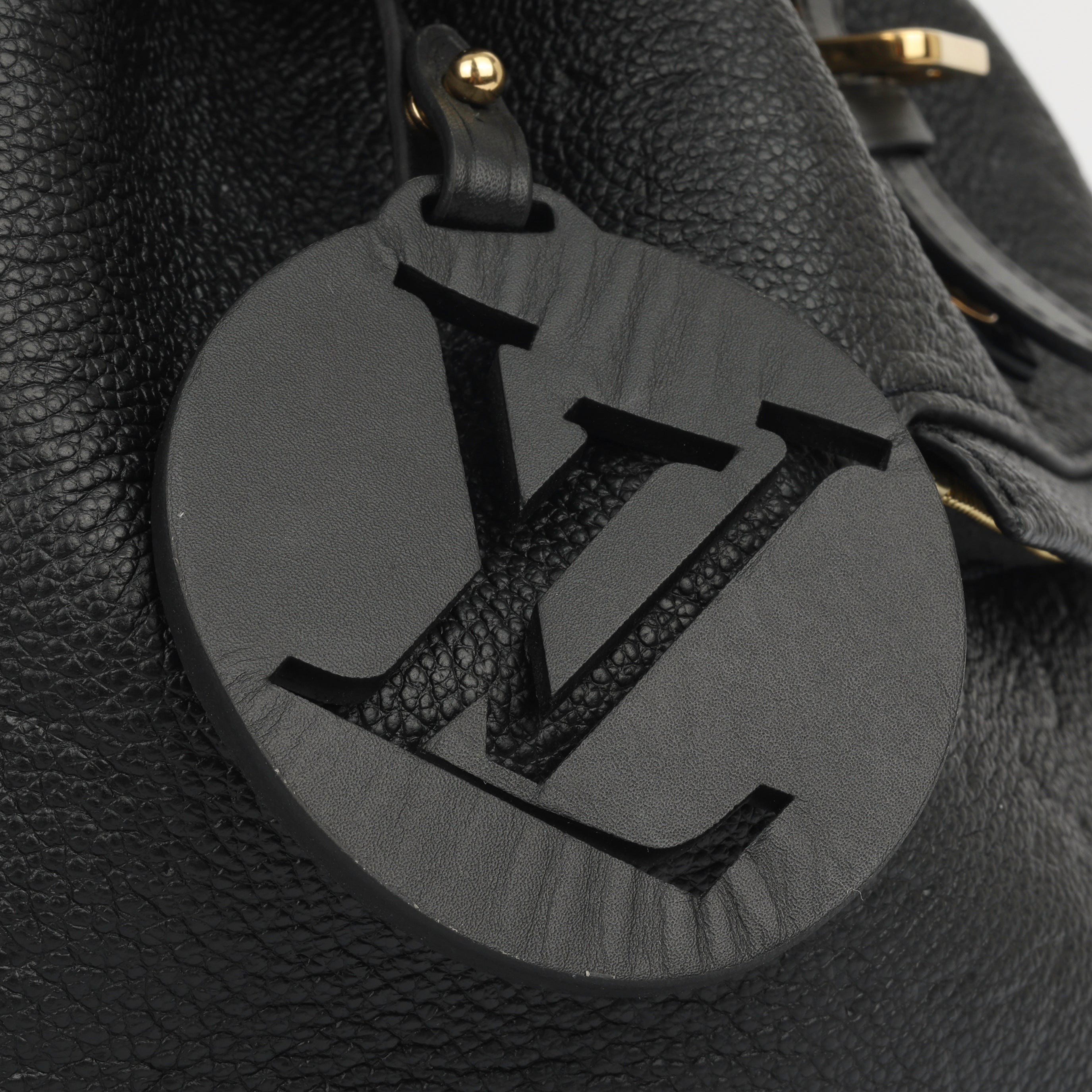 Louis Vuitton Montsouris Backpack - PM