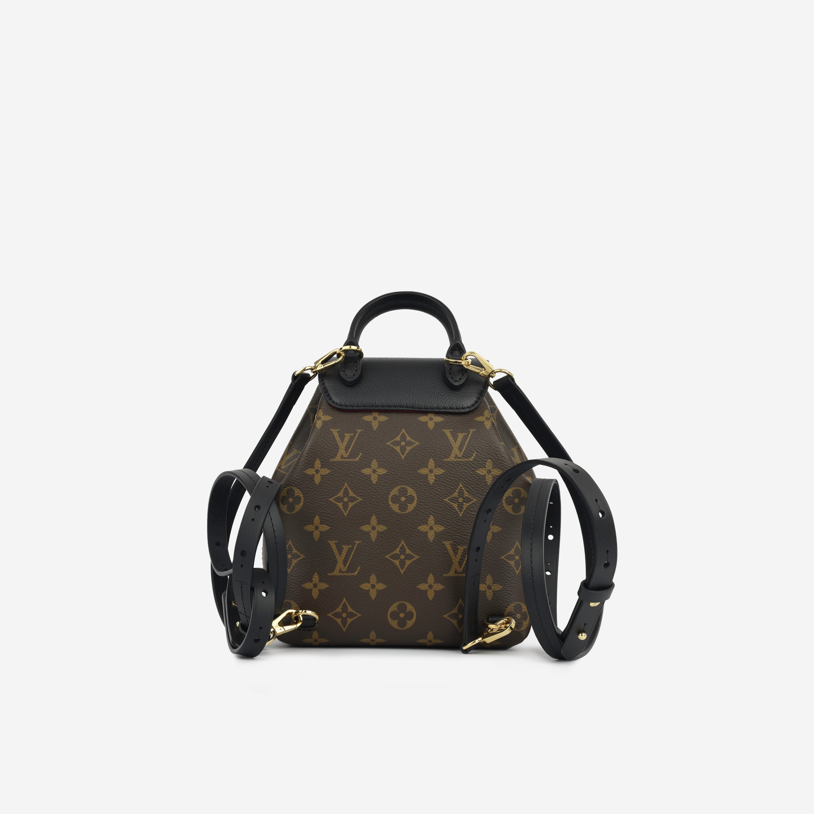Louis Vuitton Montsouris Backpack - BB