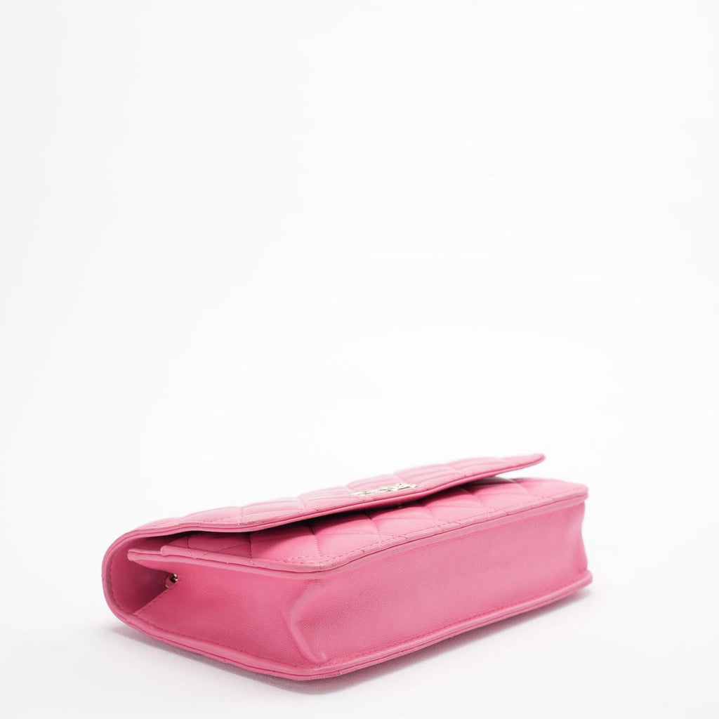 Chanel Wallet on Chain (woc) Bag Pink Emoticon