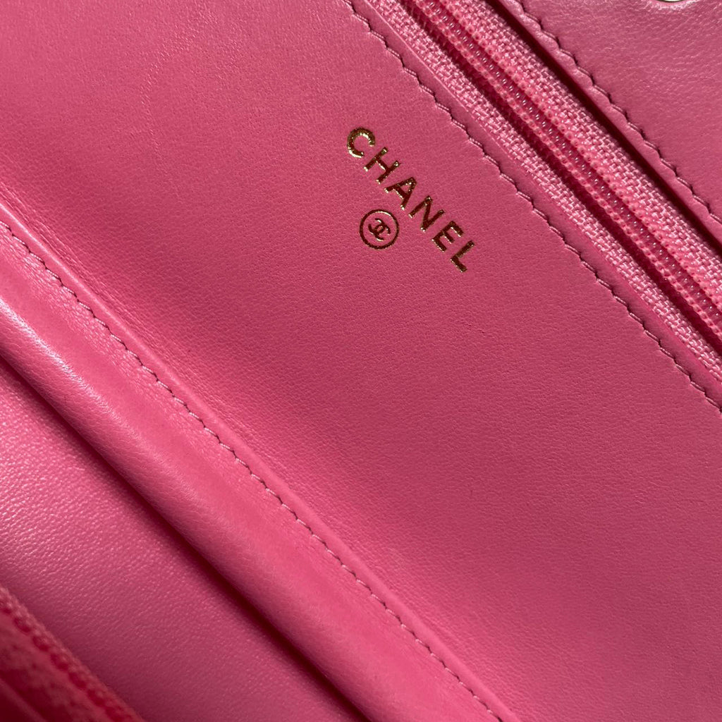 Chanel Wallet on Chain (woc) Bag Pink Emoticon