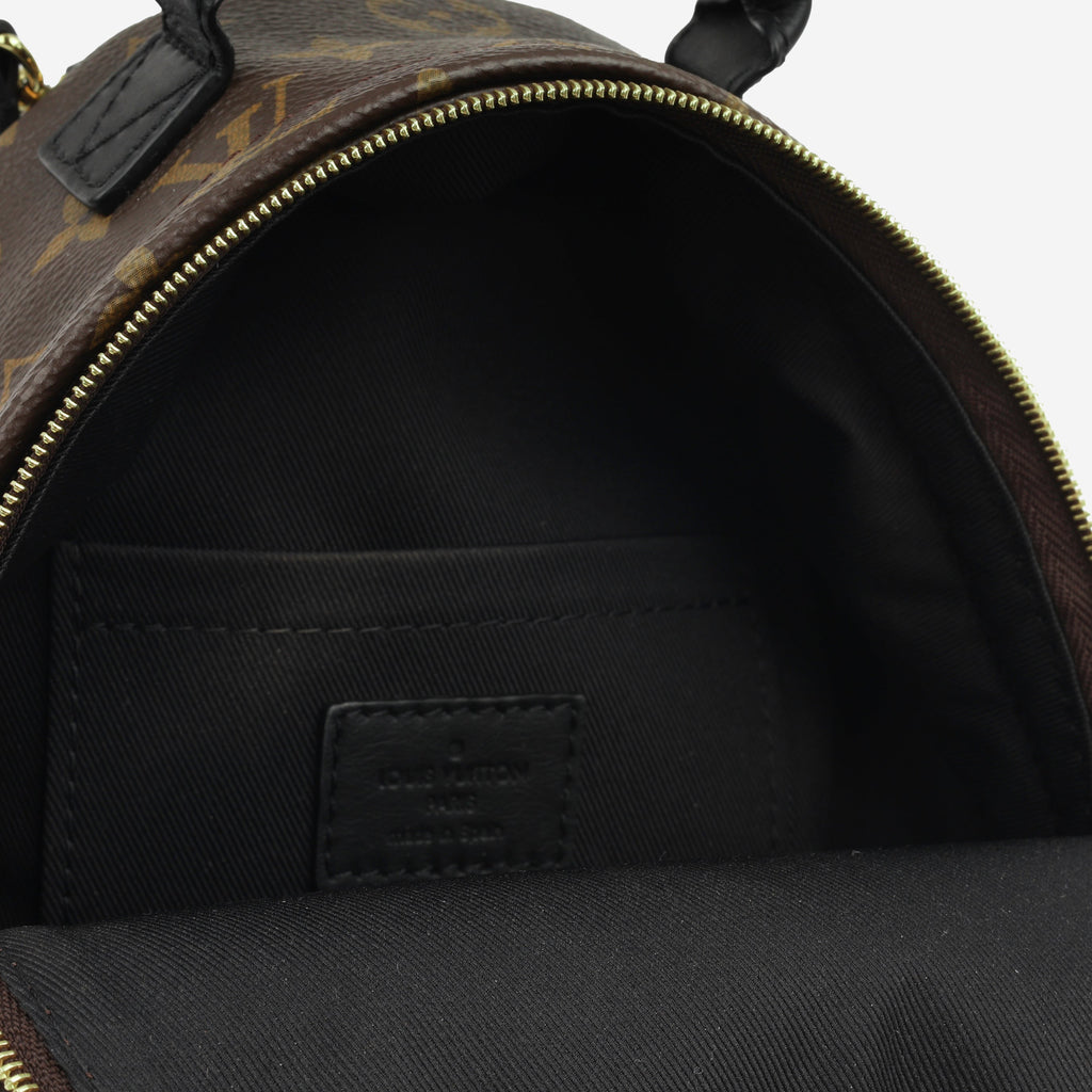 Louis Vuitton Mini Palm Springs Backpack
