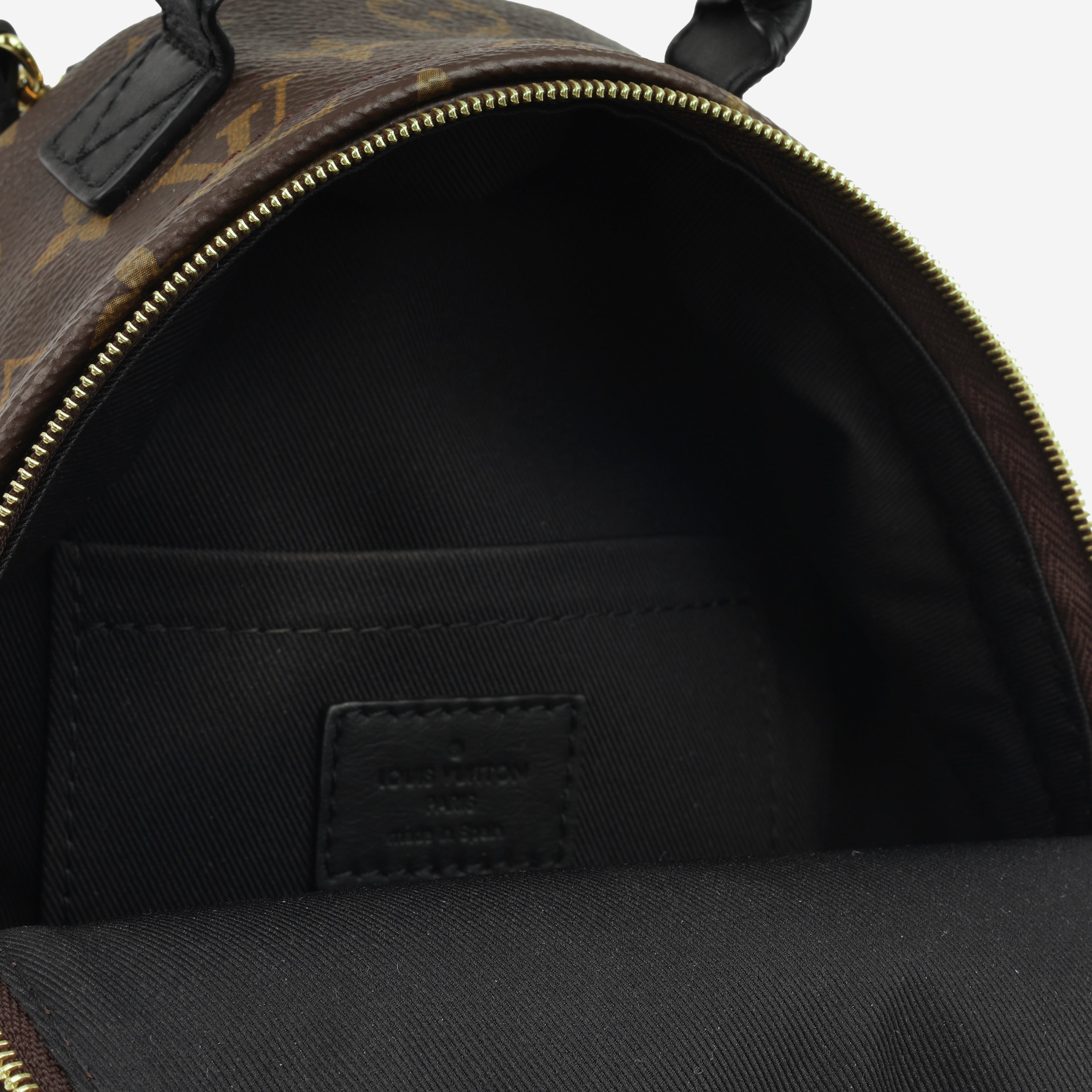 Louis Vuitton Mini Palm Springs Backpack