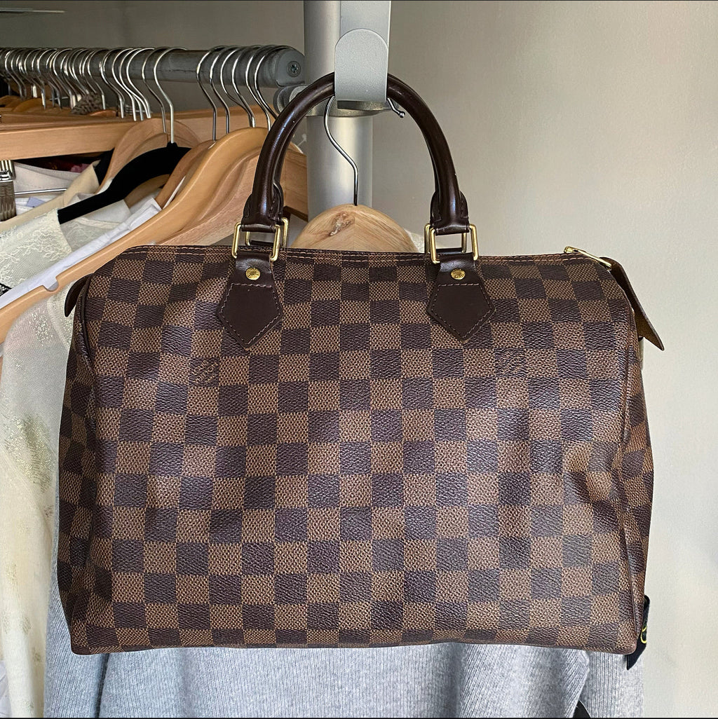 Louis Vuitton Damier Ebene Speedy 30 Bag