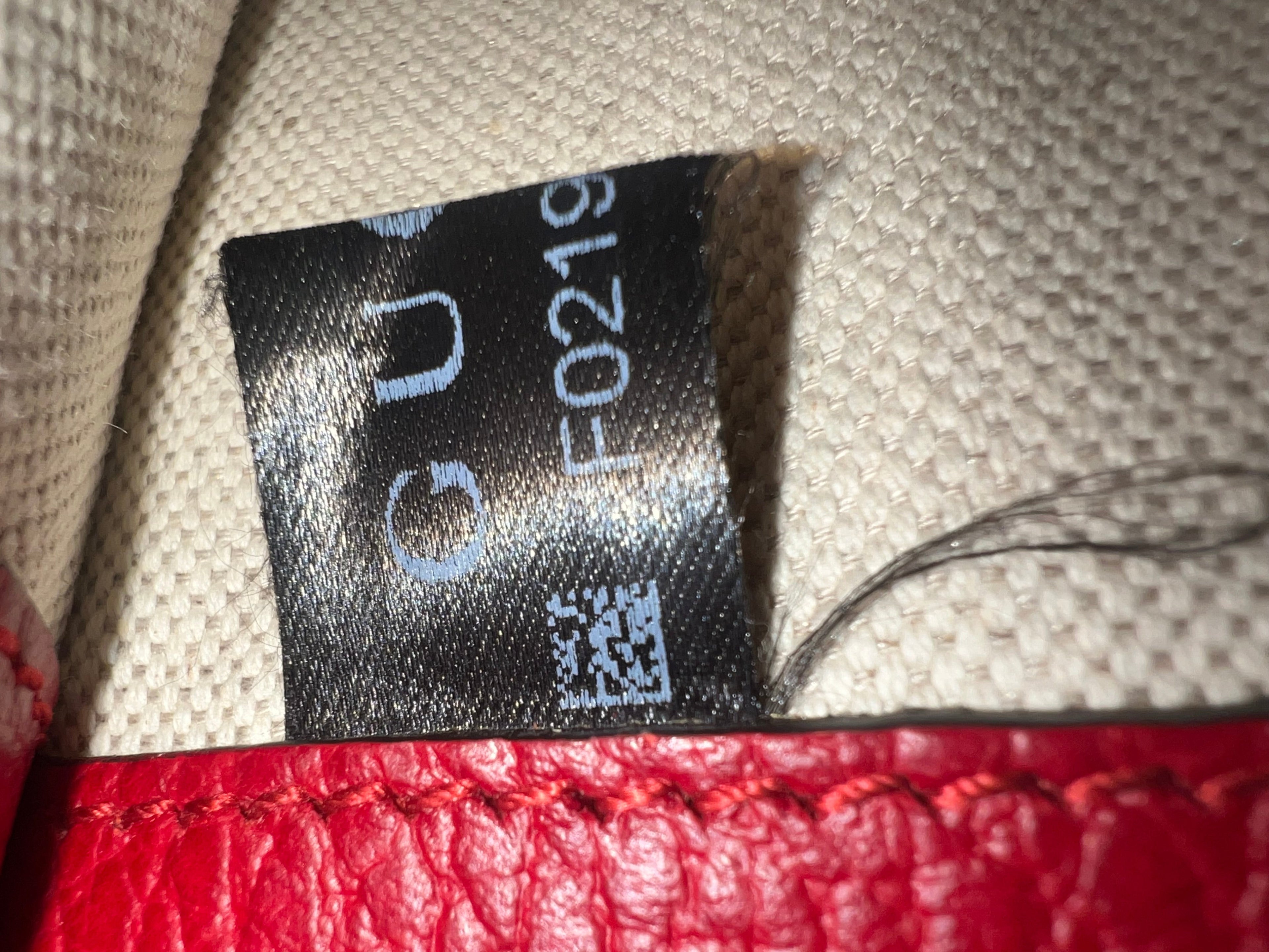 Gucci Dionysus  small in red