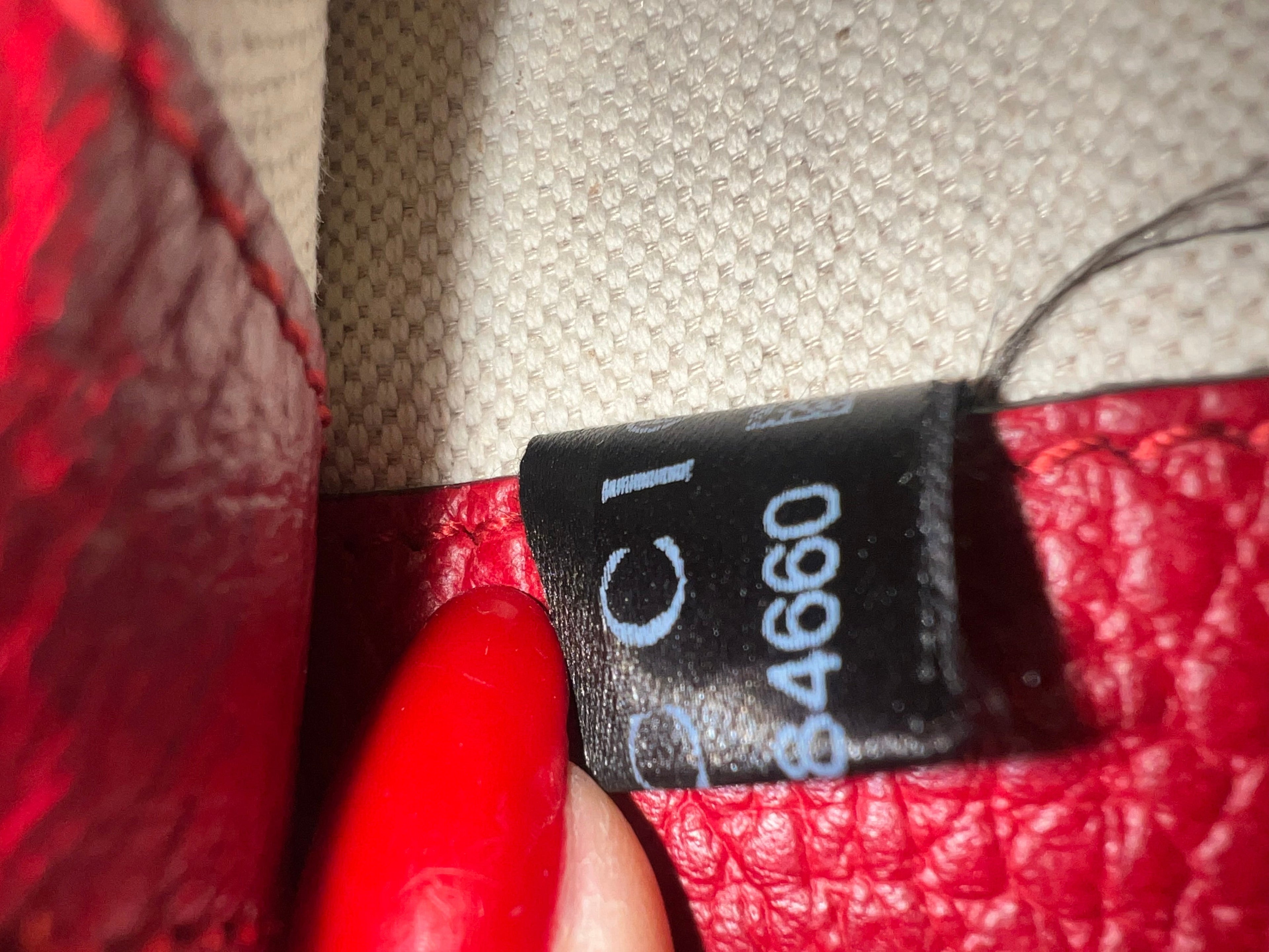 Gucci Dionysus  small in red
