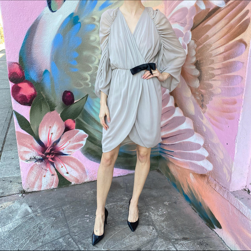 Giambattista Valli Light Grey Sheer Silk Chiffon Dress - IT46 / USA 6