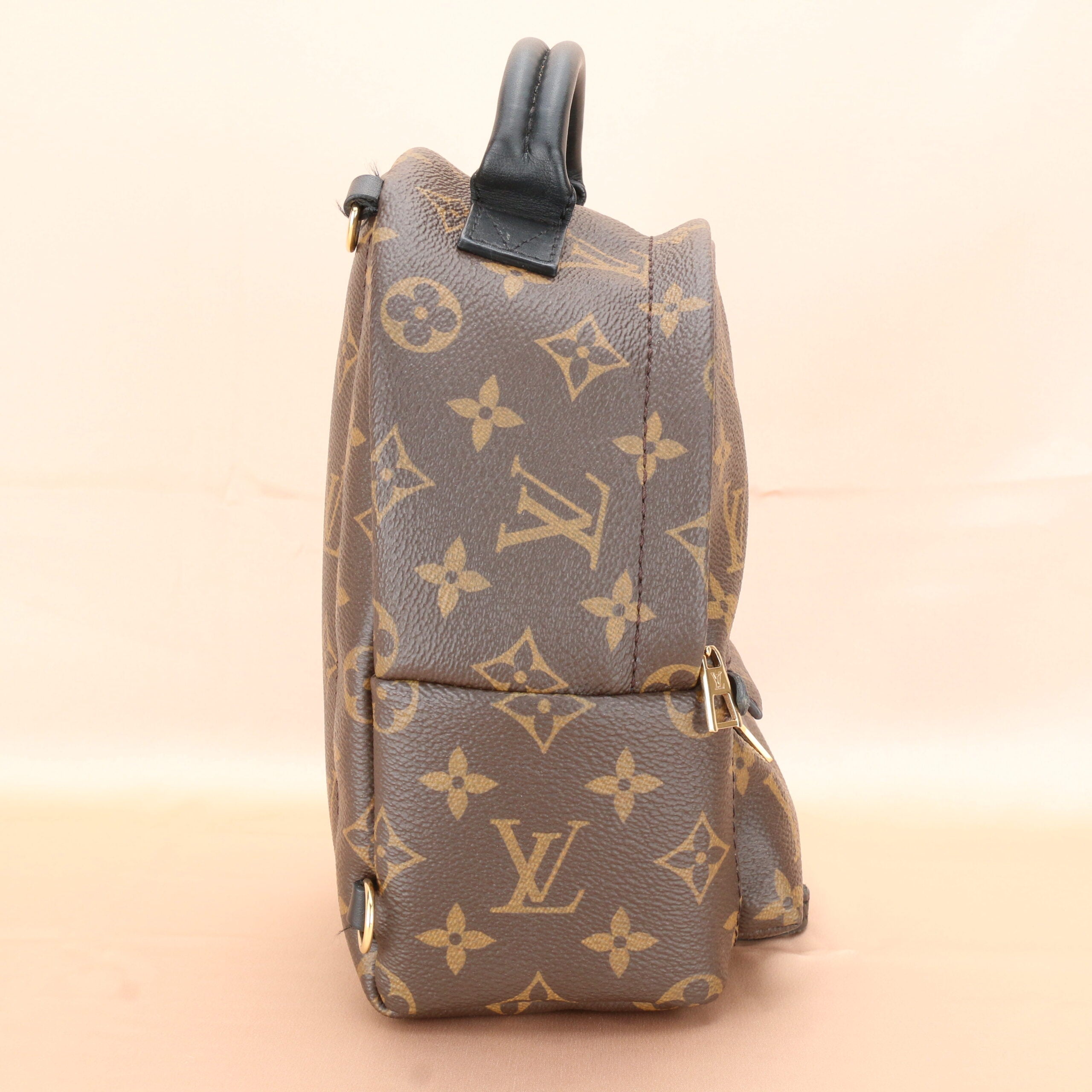 Louis Vuitton Palm Springs Mini Backpack