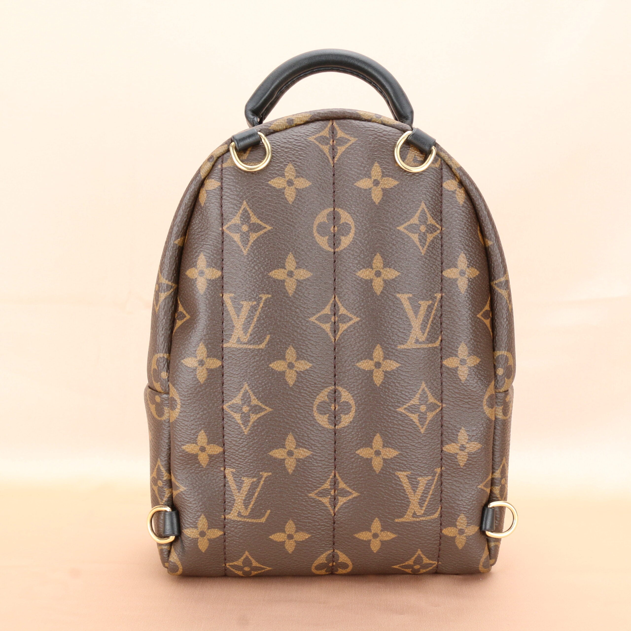 Louis Vuitton Palm Springs Mini Backpack