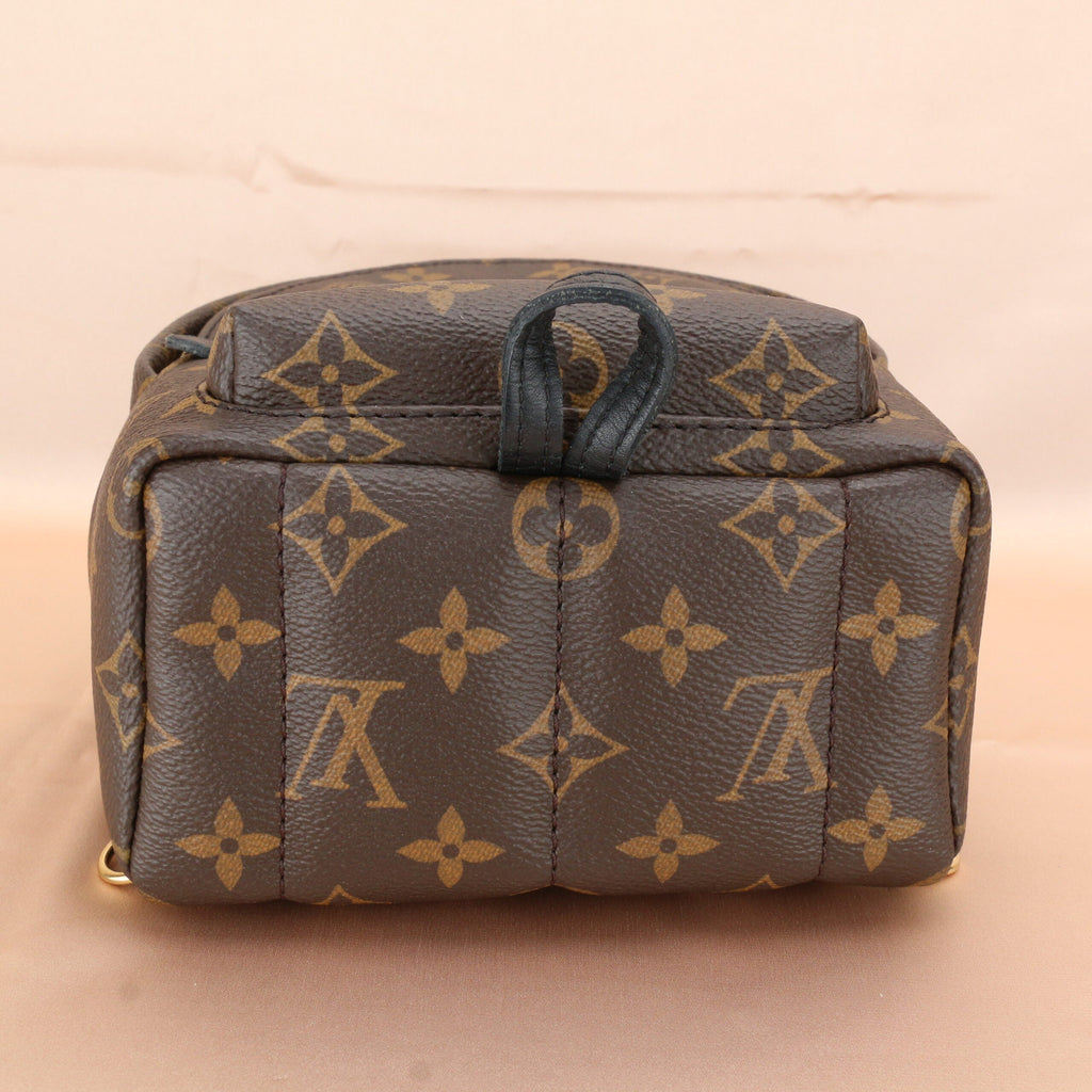Louis Vuitton Palm Springs Mini Backpack