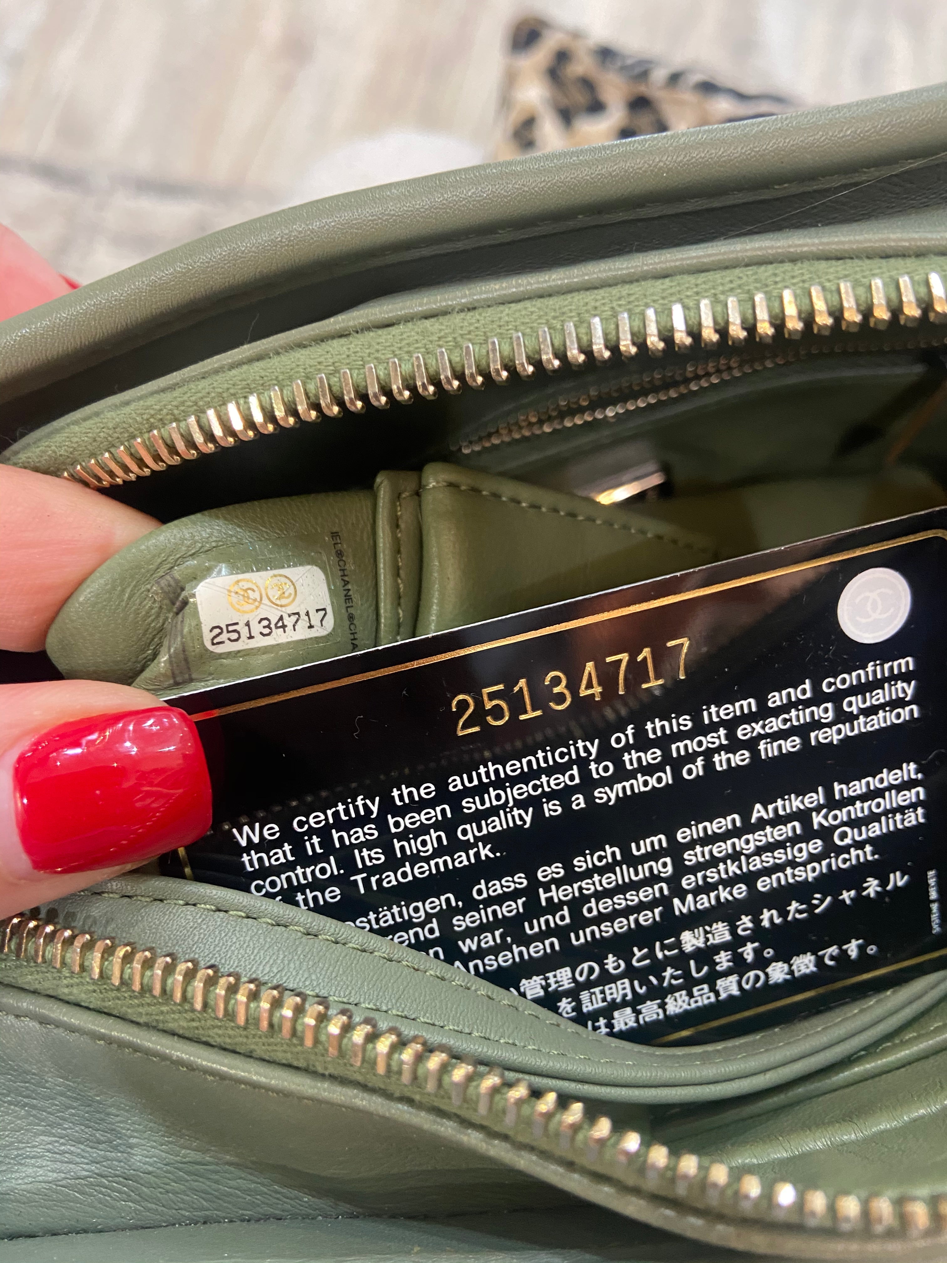 CHANEL CC PYTHON GABRIELLE HOBO BAG
