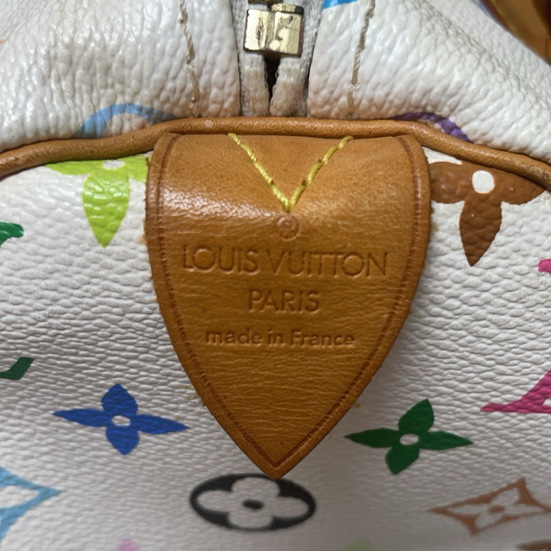 Louis Vuitton Speedy 30 Multicolor Takashi Murakami 2007