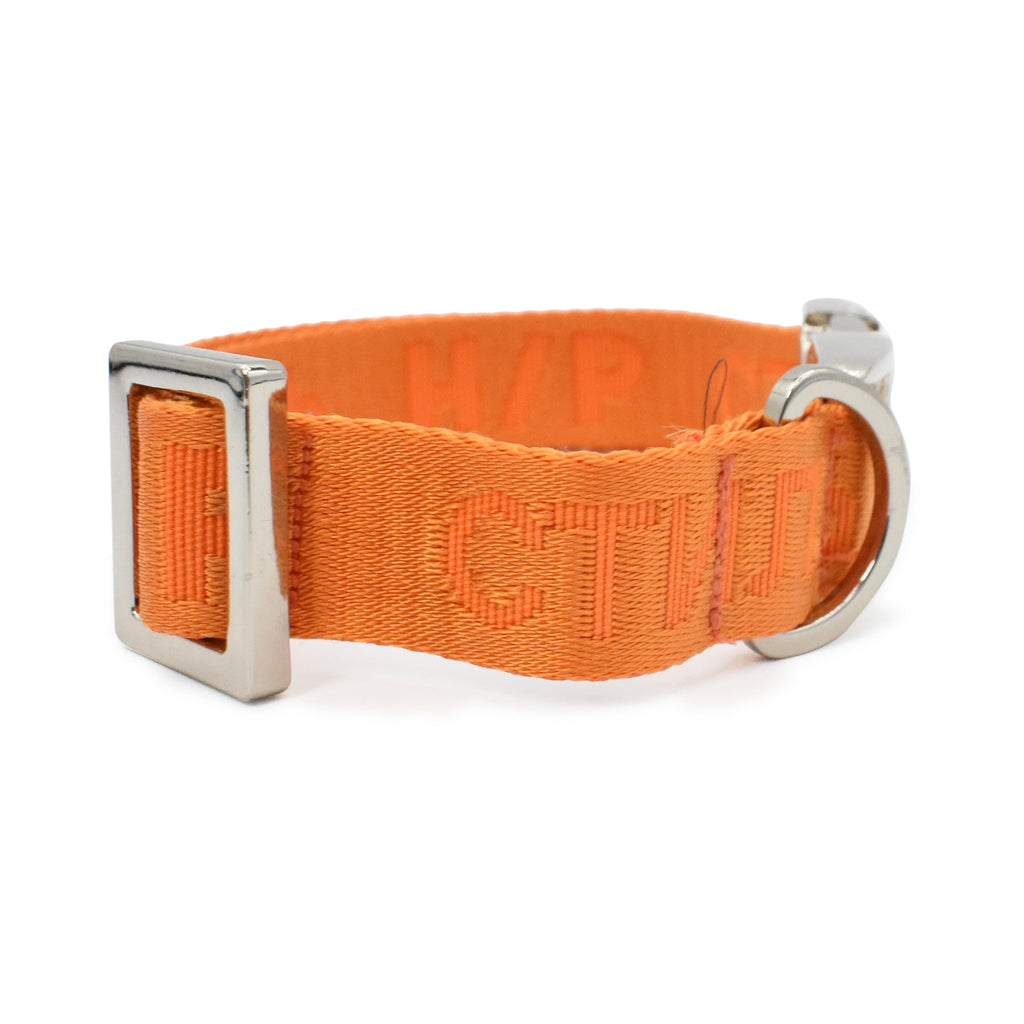 Heron Preston Dog Collar - M