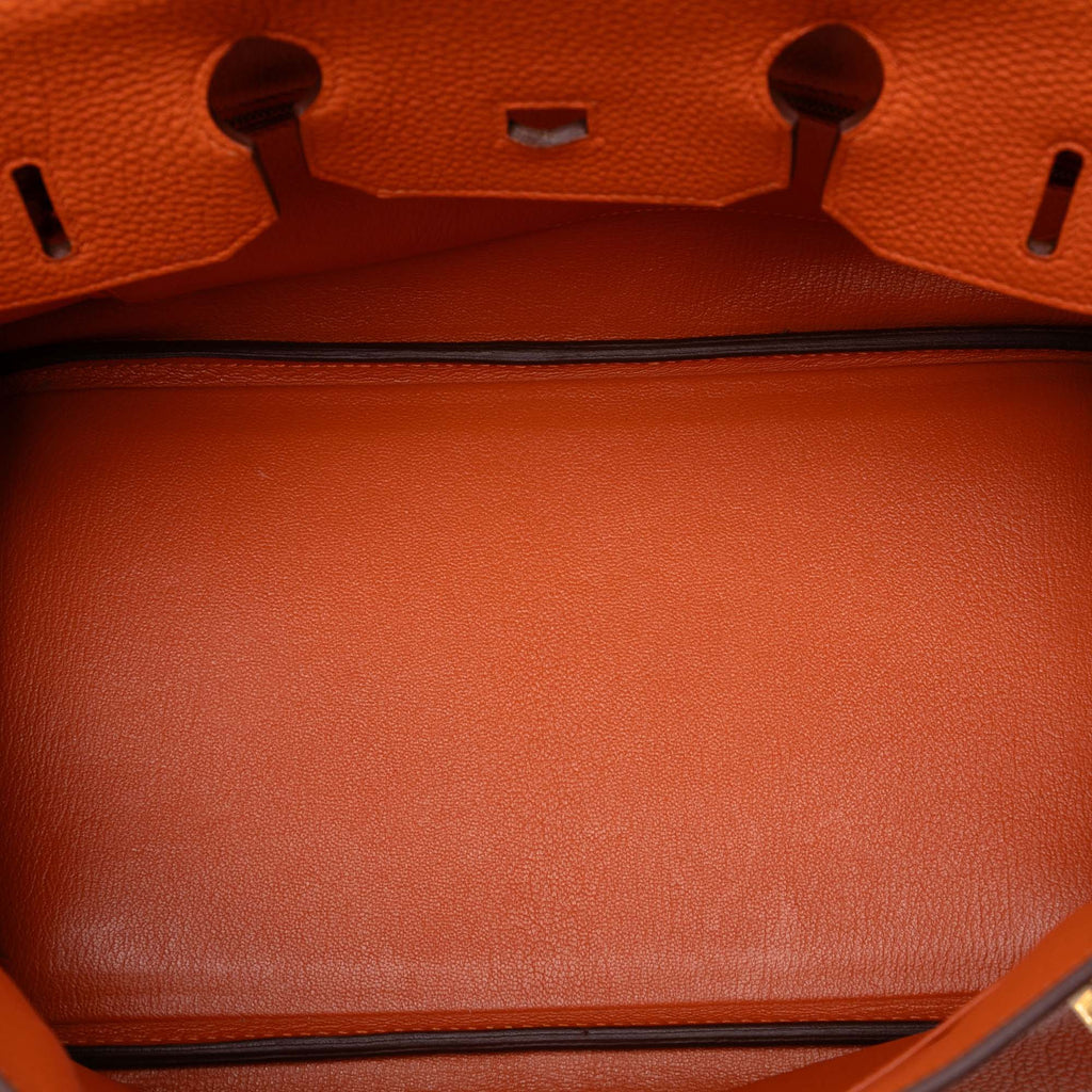 Birkin Handbag Orange Togo with Gold Hardware 35