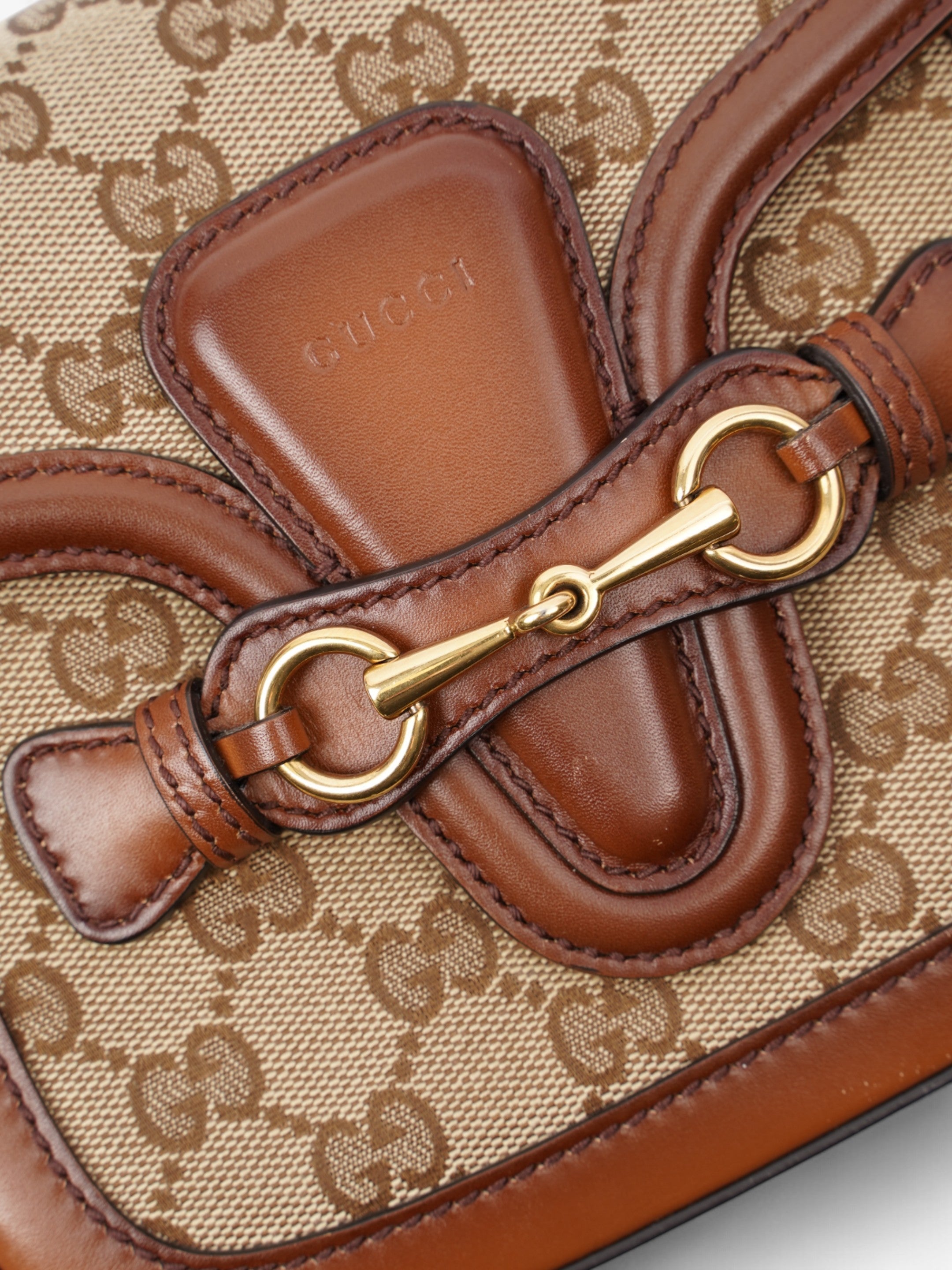 Gucci Lady Web Supreme Print Canvas
