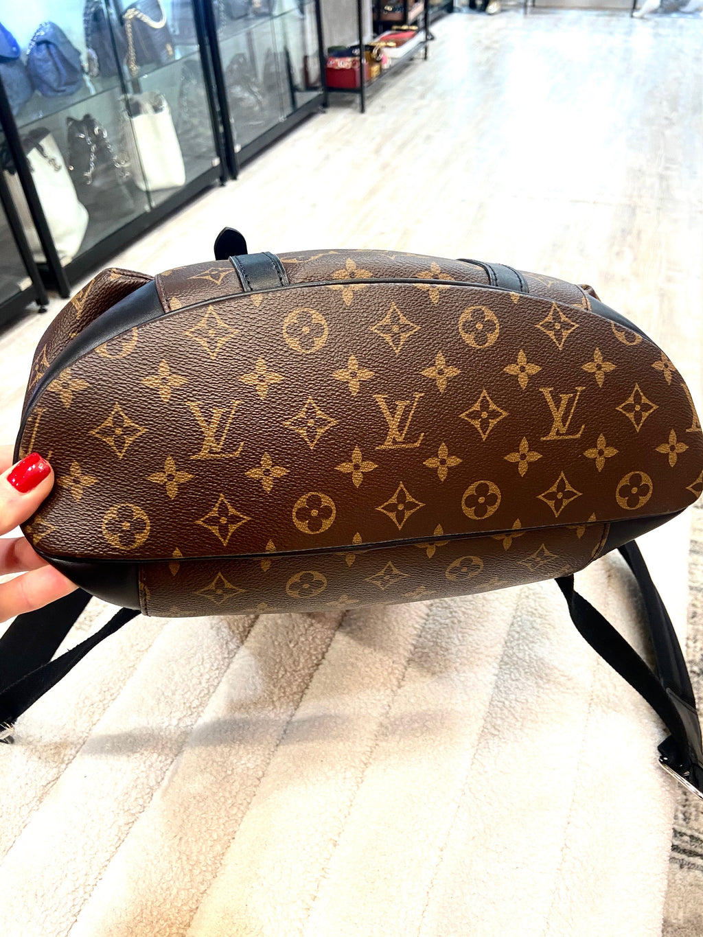 LOUIS VUITTON MONOGRAM MACASSAR CHRISTOPHER PM BACKPACK