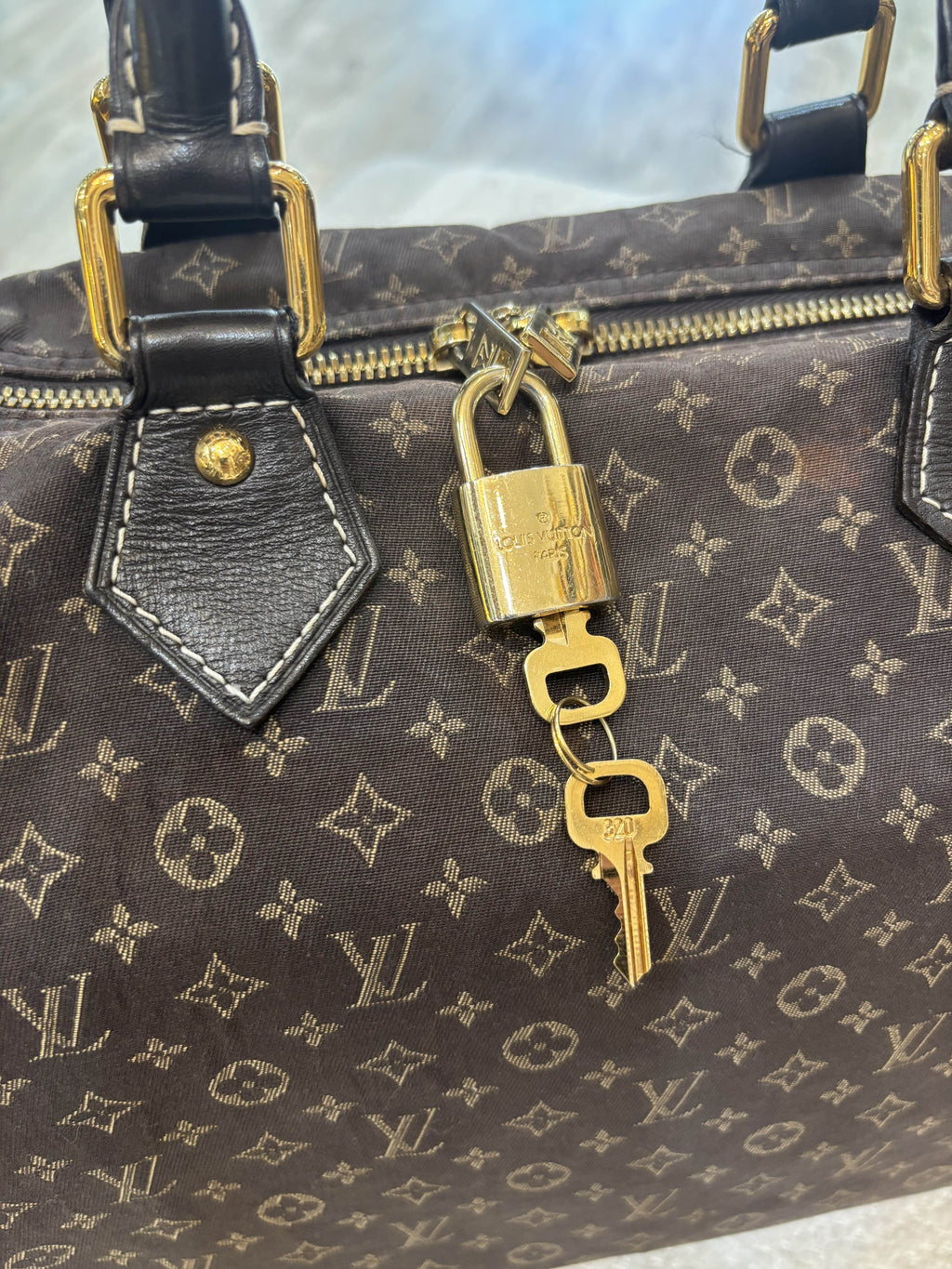 LOUIS VUITTON MONOGRAM MINI LIN BAG