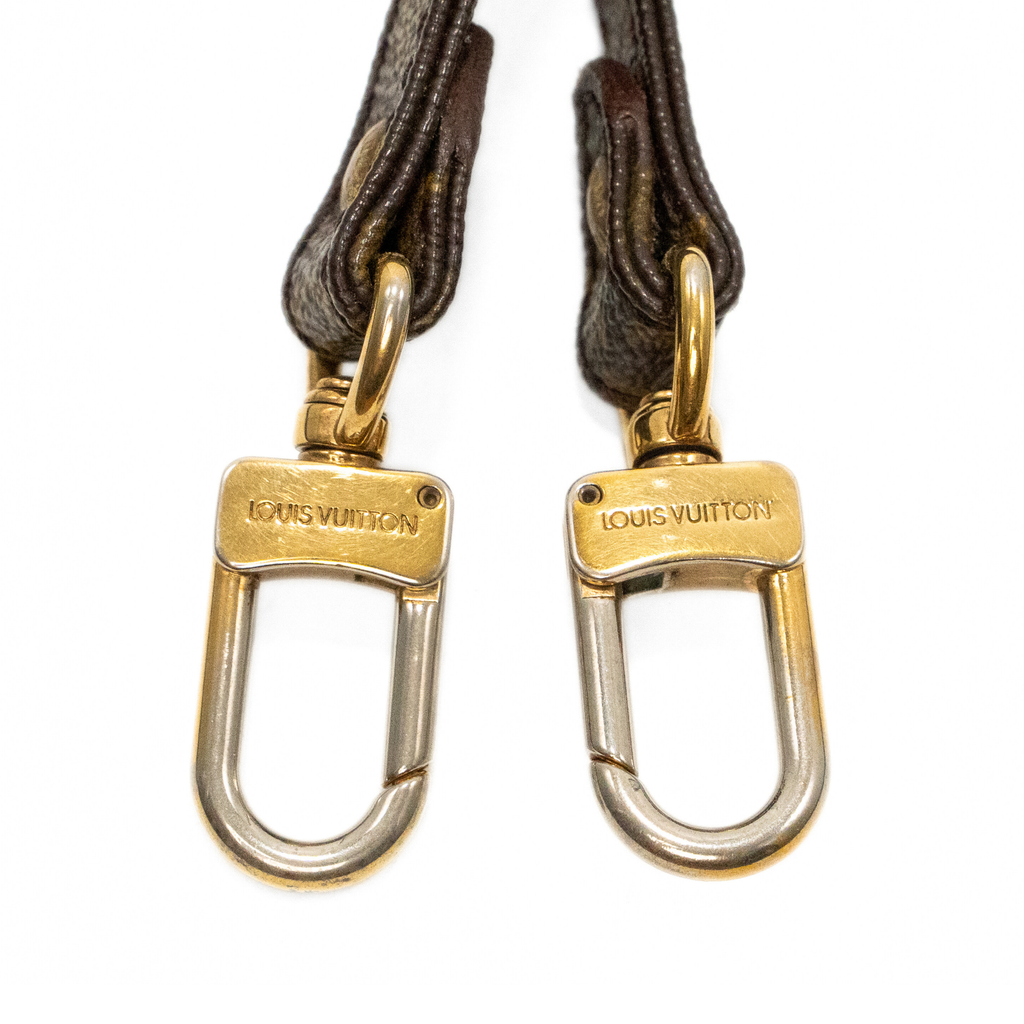 Louis Vuitton Bag Strap