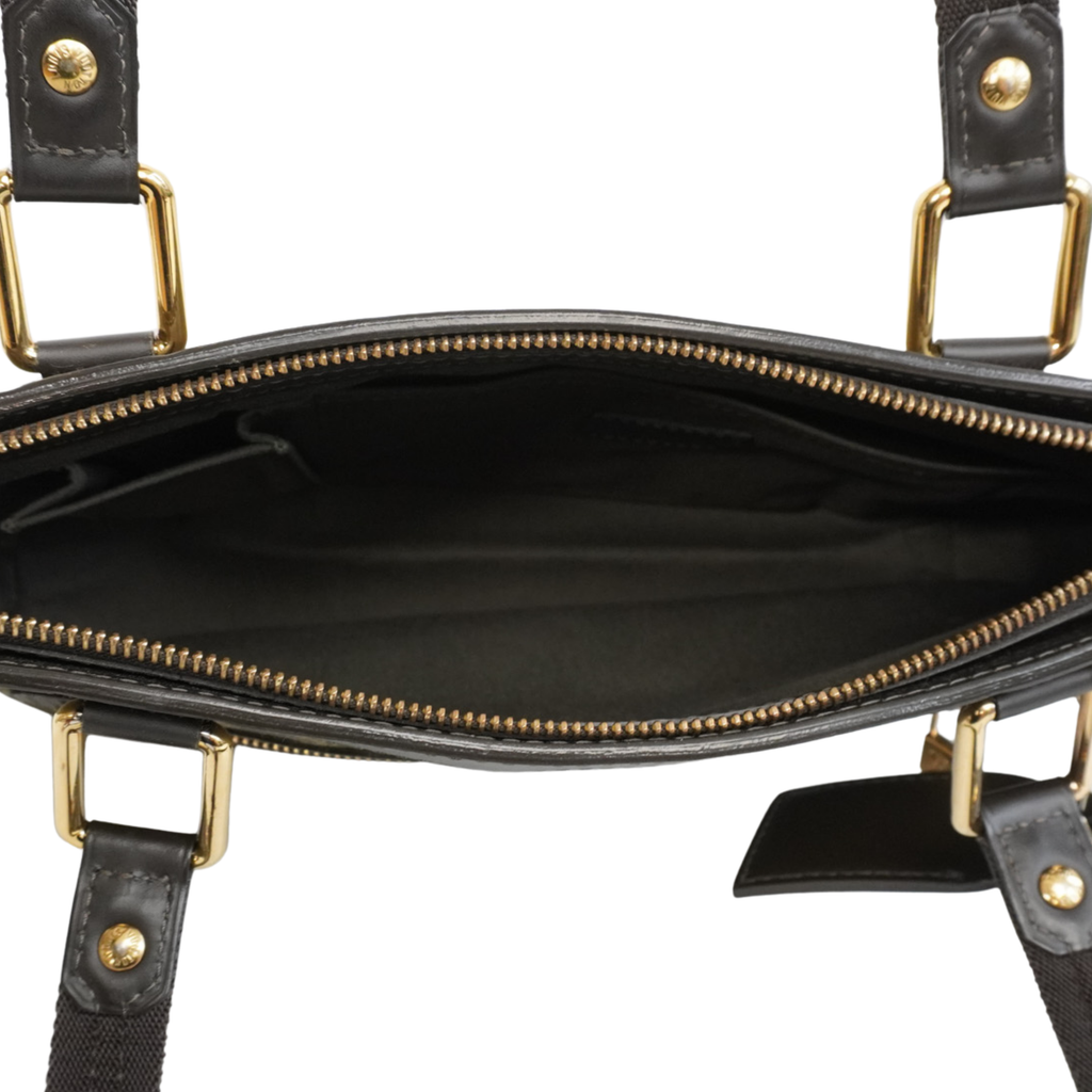 Louis Vuitton 'Mini Lin Lucille PM' Handbag