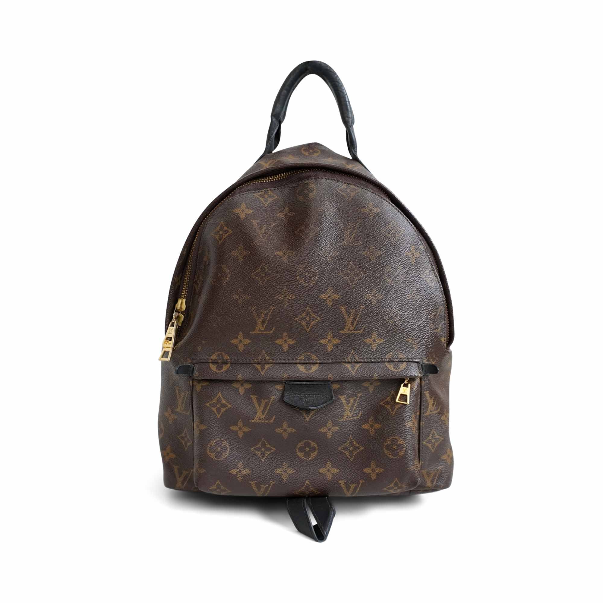 Louis Vuitton 'Palm Springs' Backpack