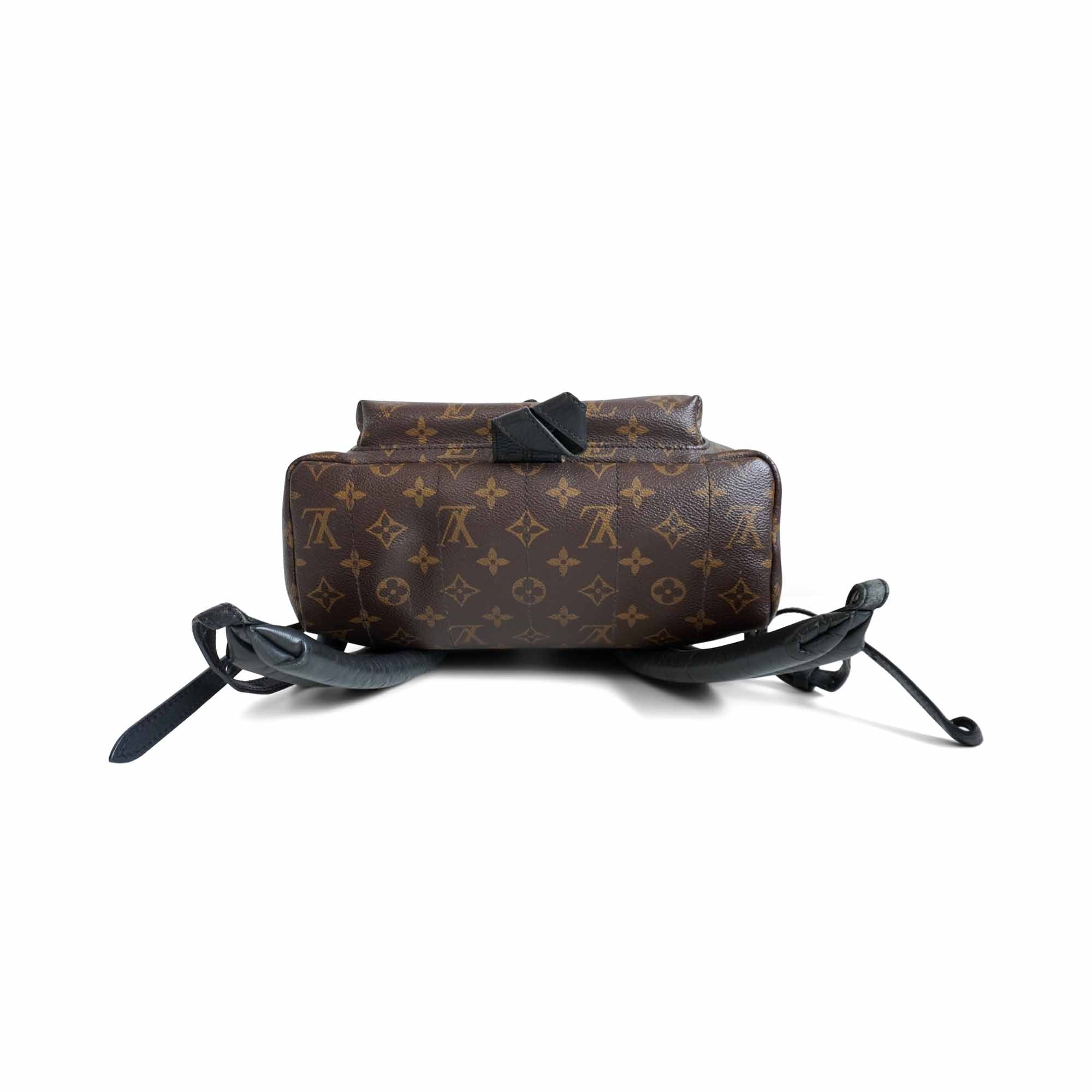 Louis Vuitton 'Palm Springs' Backpack