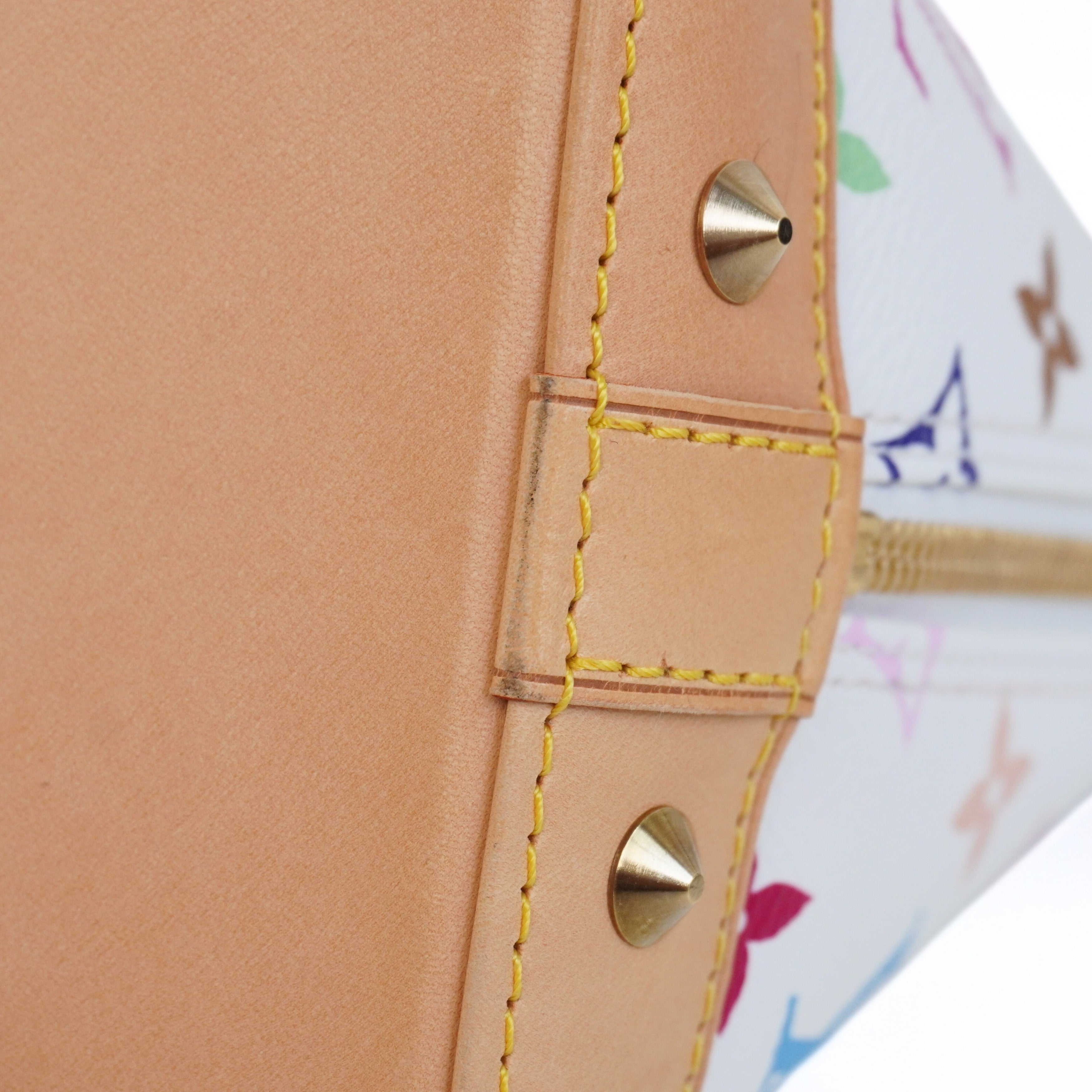 Louis Vuitton 'Multicolore Alma' Handbag