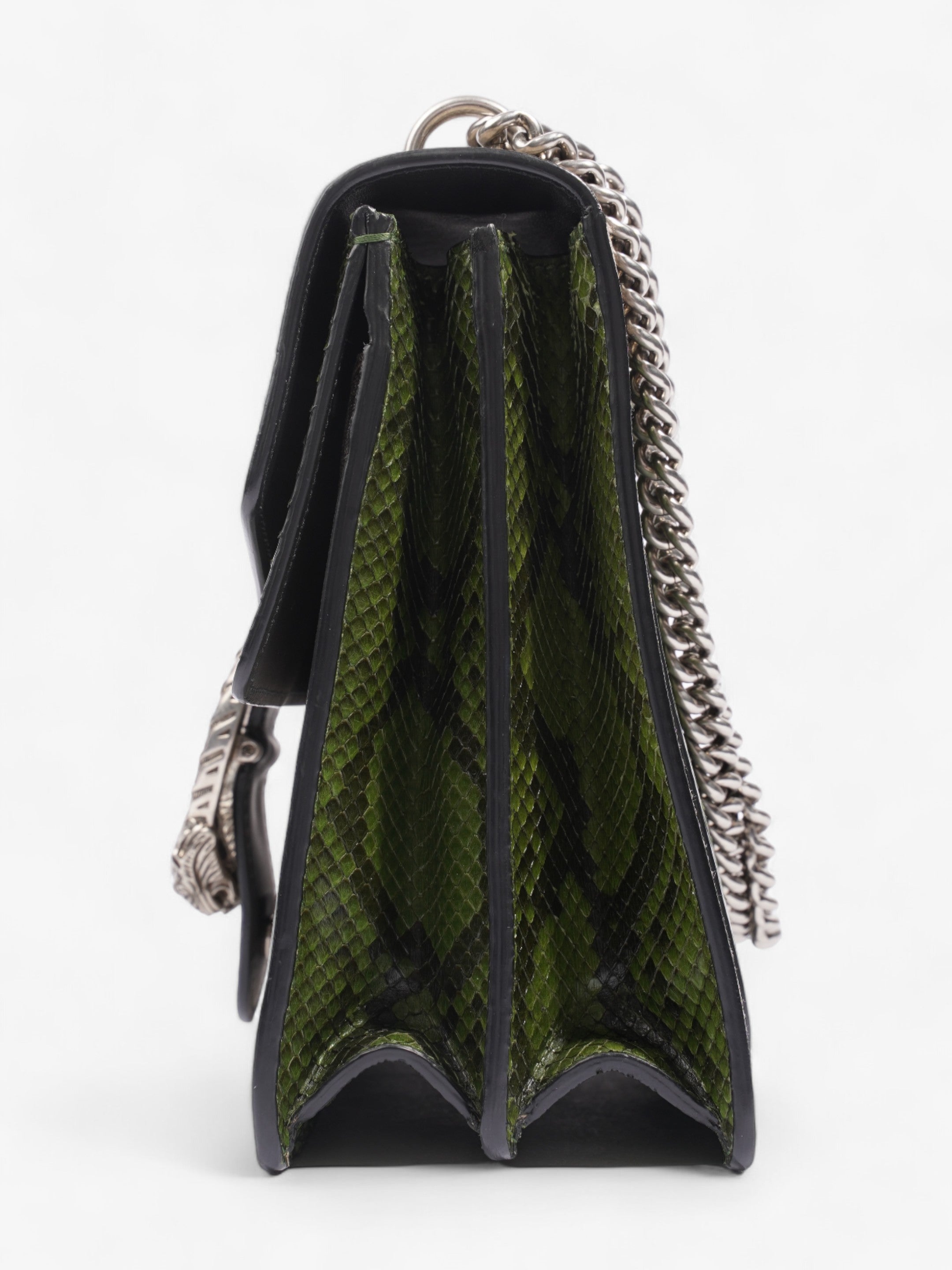 Gucci Dionysus Supreme / Green Python Coated Canvas Medium