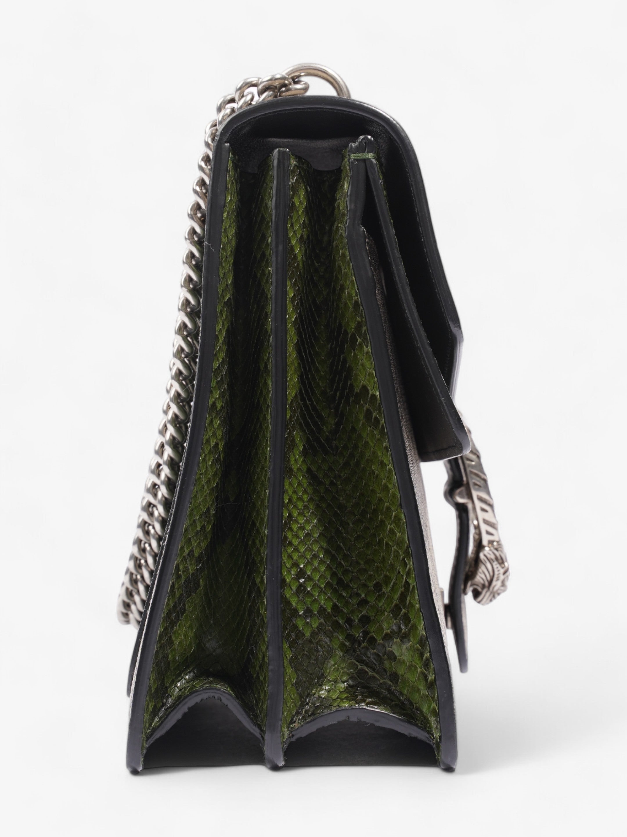 Gucci Dionysus Supreme / Green Python Coated Canvas Medium