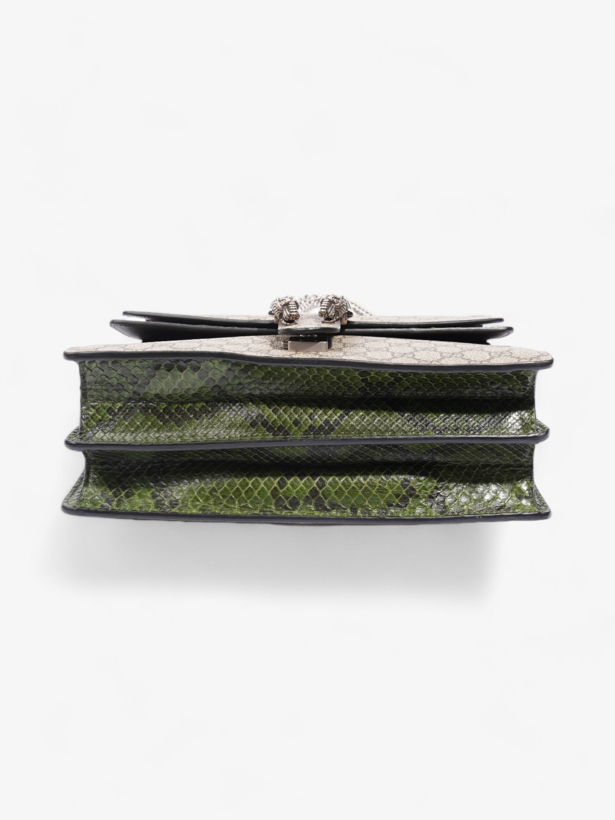Gucci Dionysus Supreme / Green Python Coated Canvas Medium