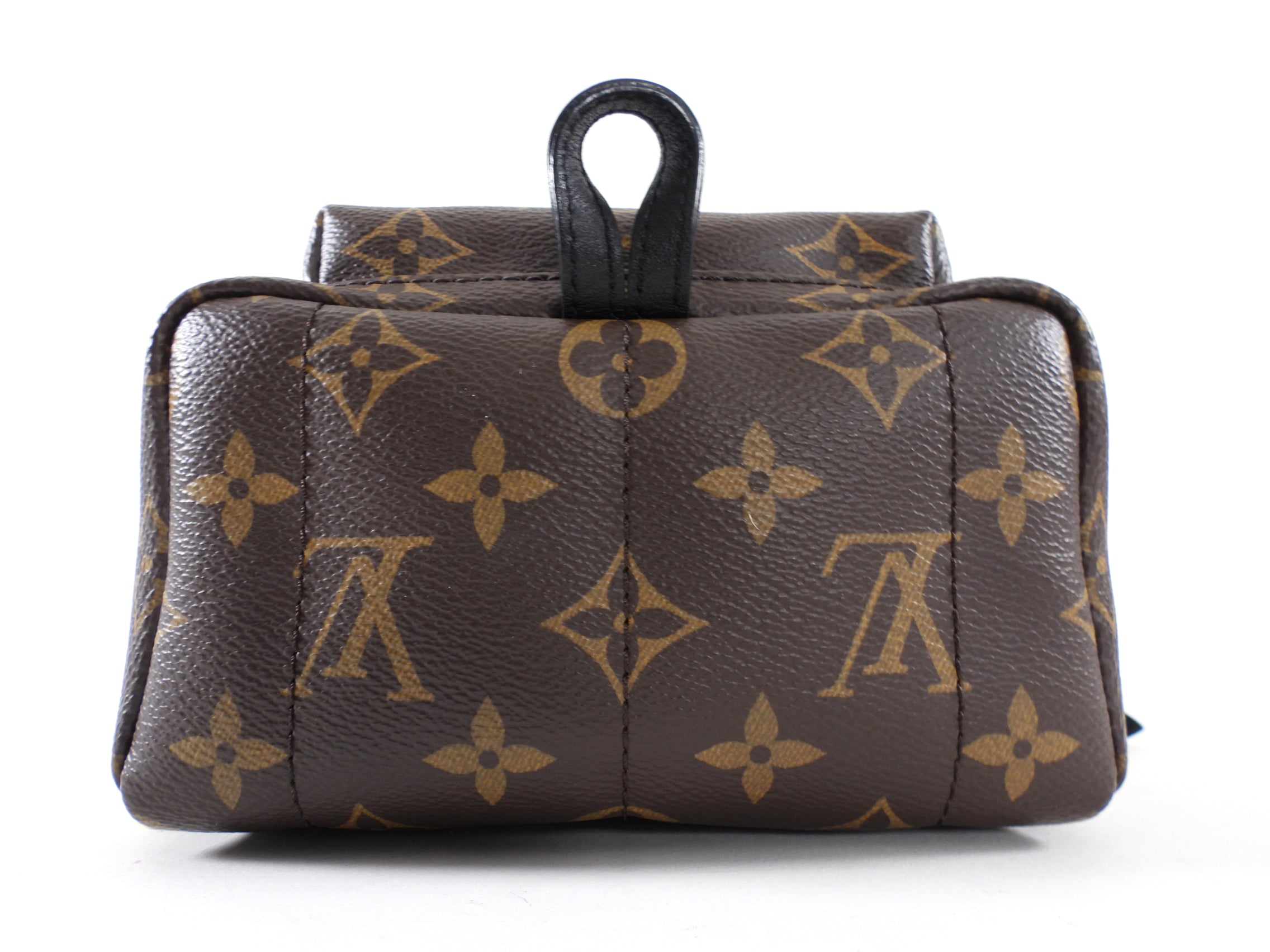 Louis Vuitton Monogram Canvas Palm Springs Mini Backpack