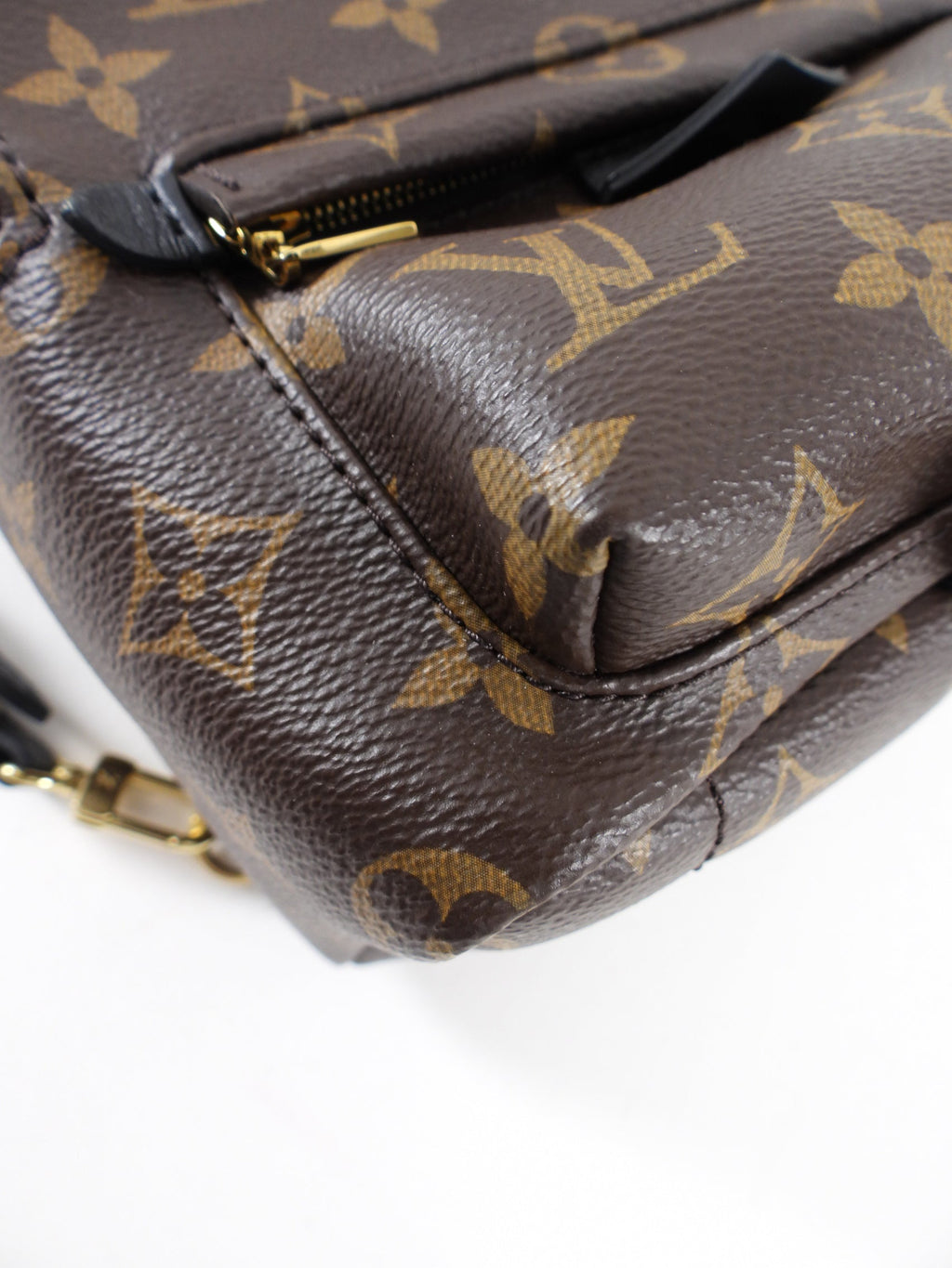 Louis Vuitton Monogram Canvas Palm Springs Mini Backpack