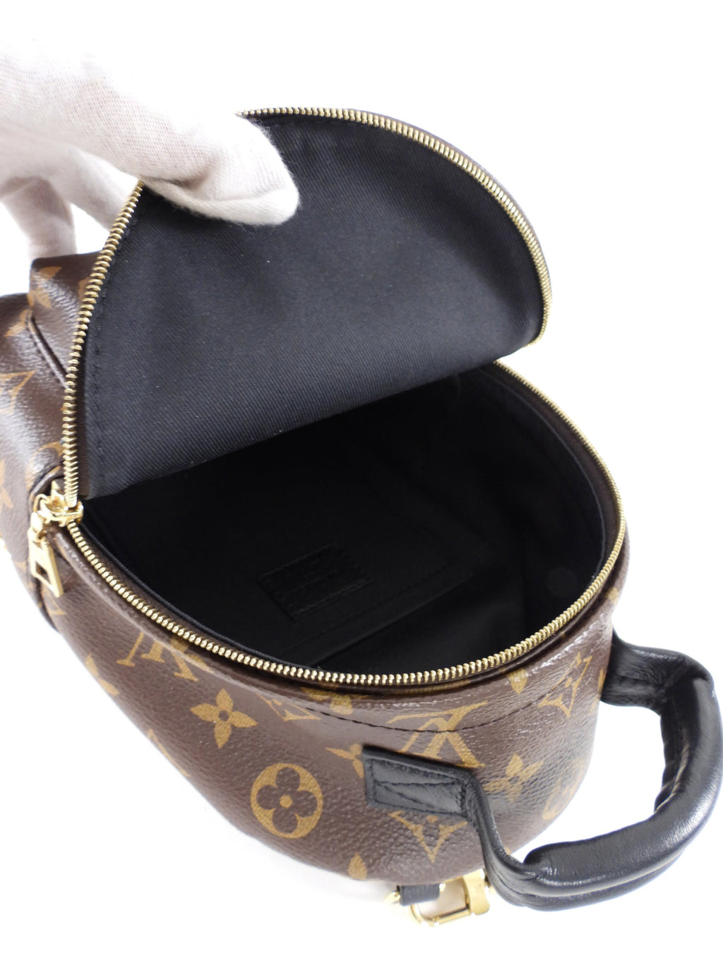 Louis Vuitton Monogram Canvas Palm Springs Mini Backpack
