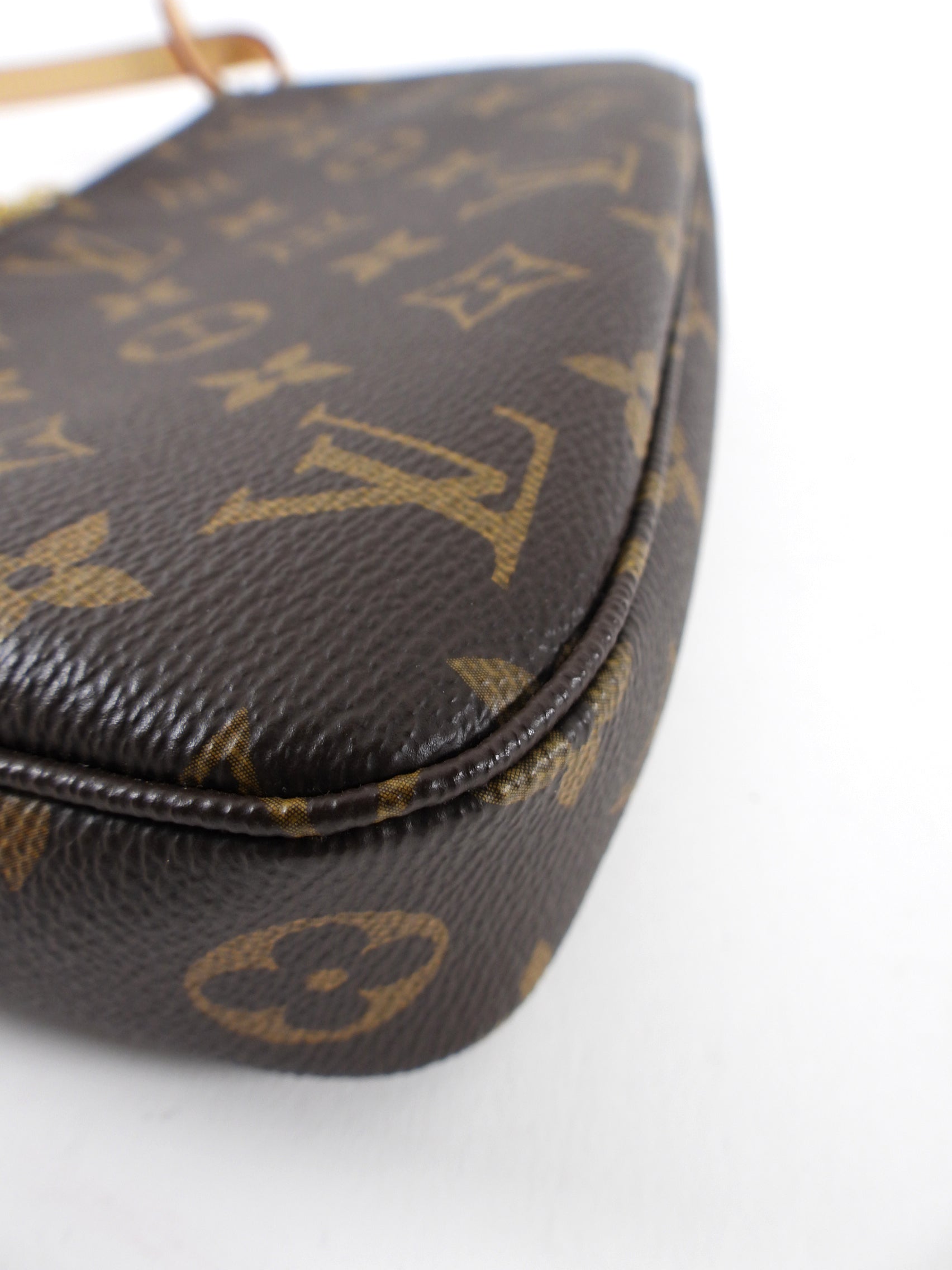 Louis Vuitton Monogram Canvas Pochette Accessoires Bag
