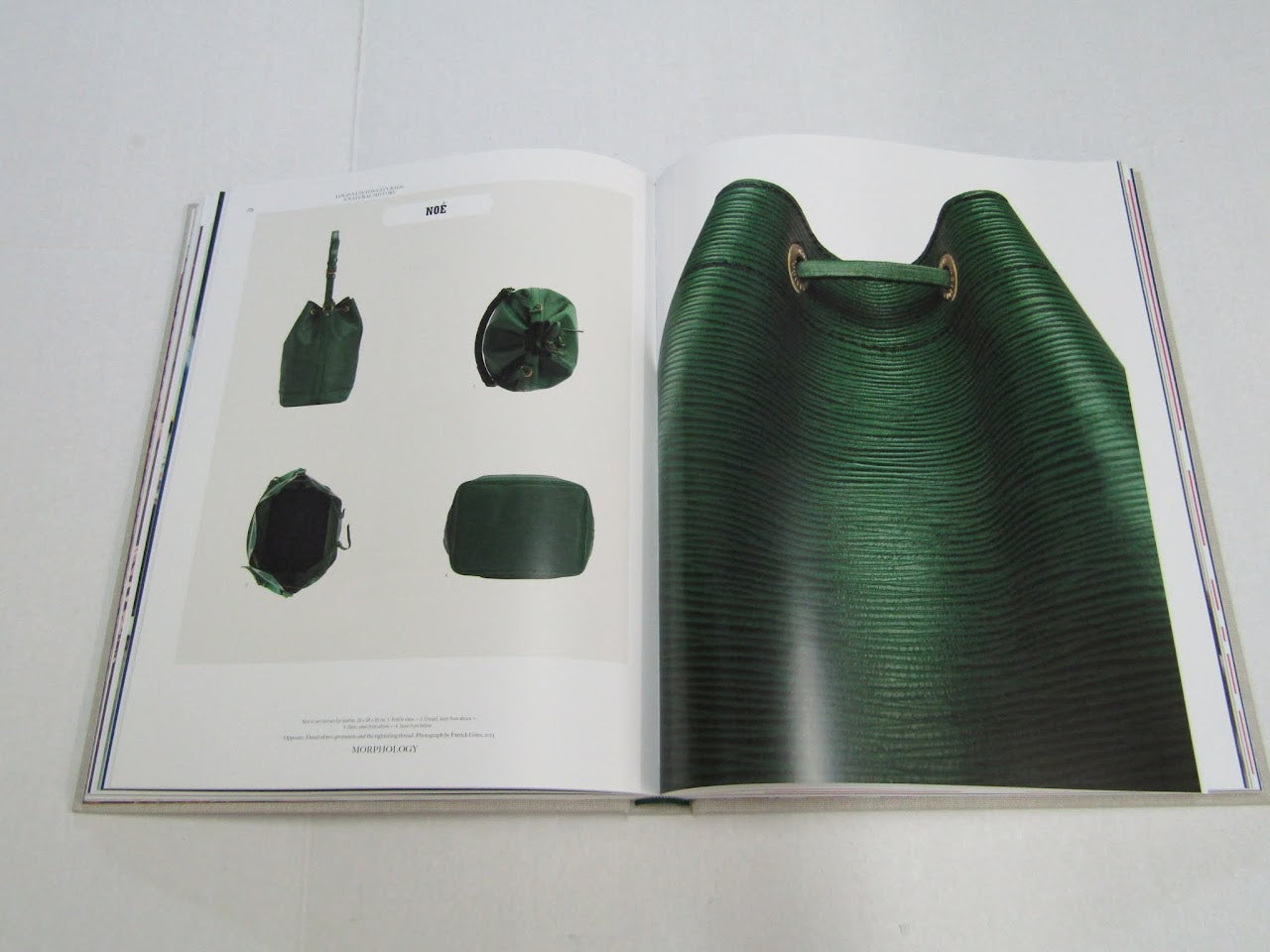 LOUIS VUITTON CITY BAG NATURAL HISTORY BOOK