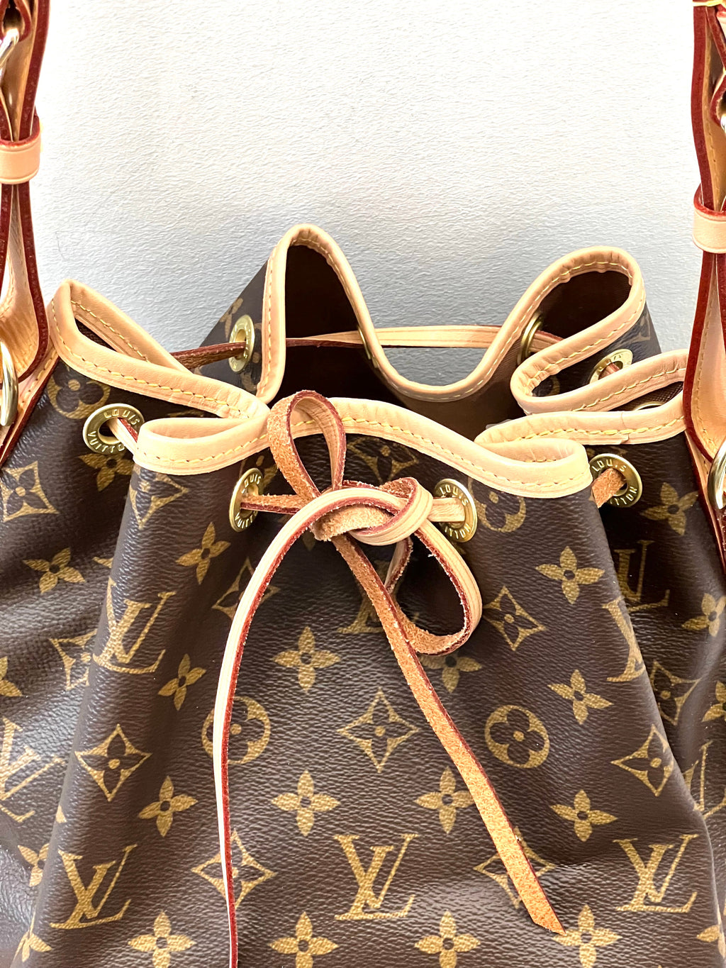 LOUIS VUITTON Noé MONGRAM PM BAG