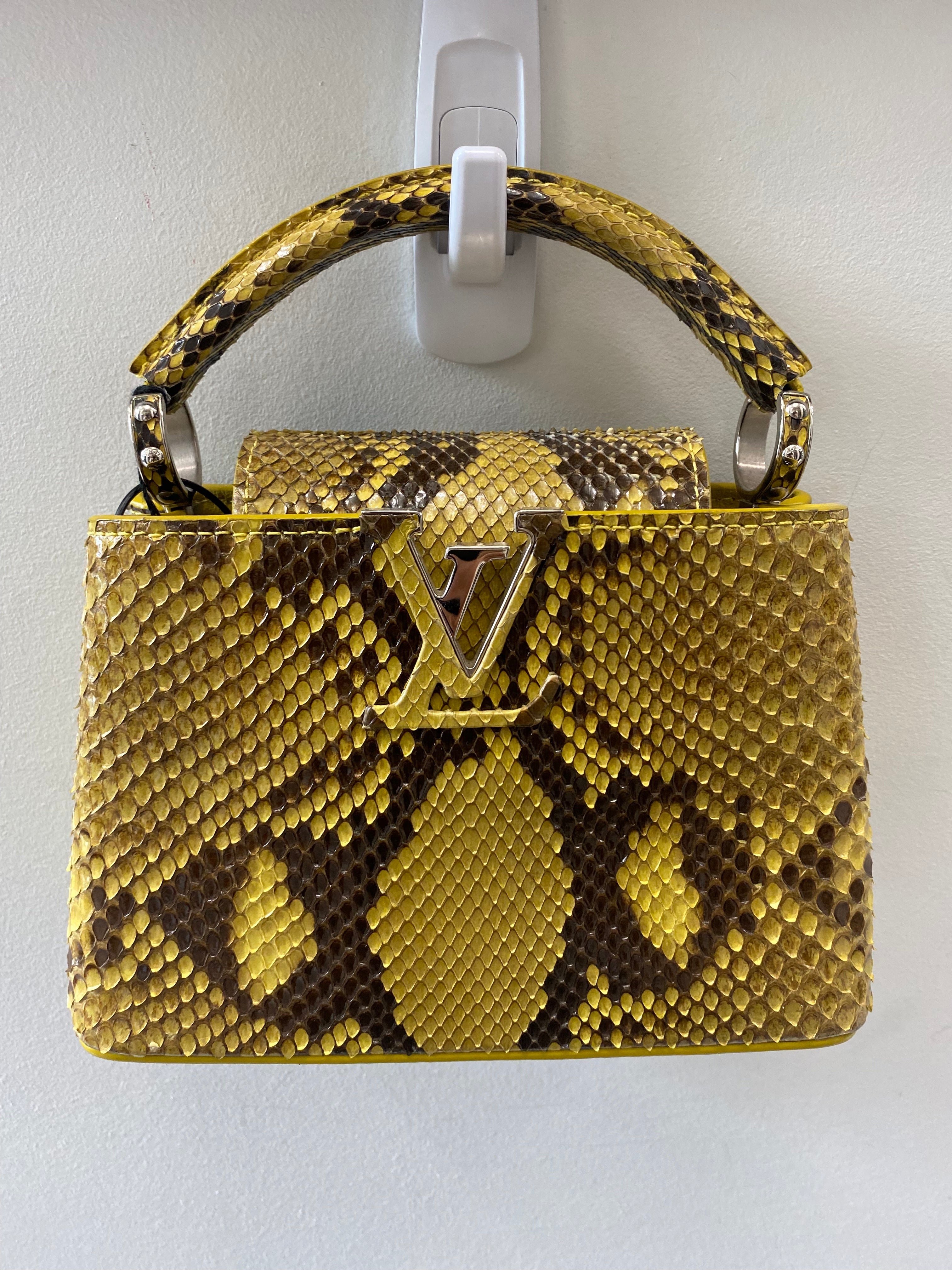 LOUIS VUITTON PYTHON MINI CAPUCINES BAG