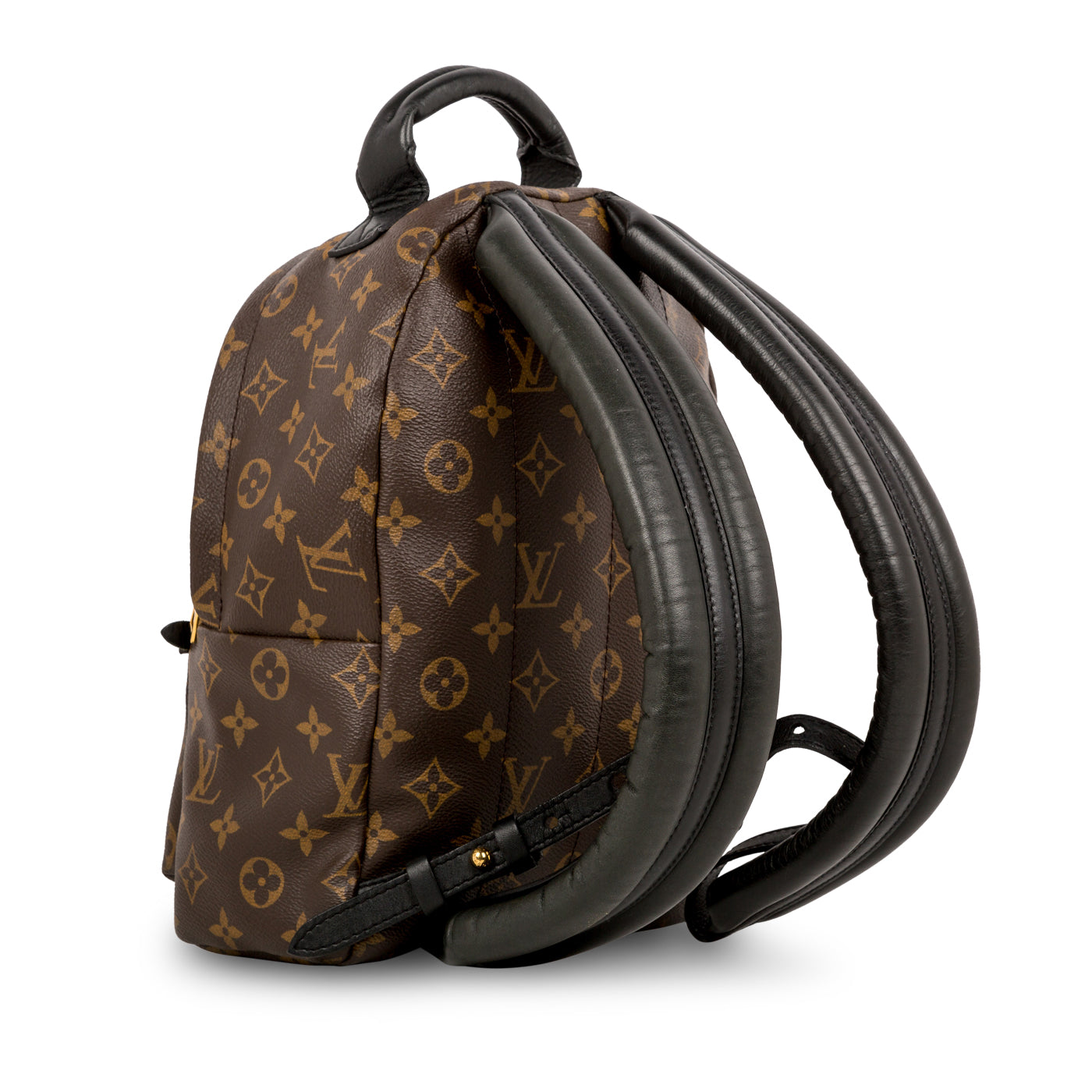 Louis Vuitton Palm Springs Backpack PM