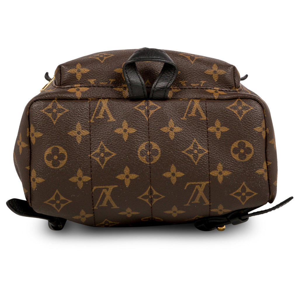 Louis Vuitton Palm Springs Backpack PM