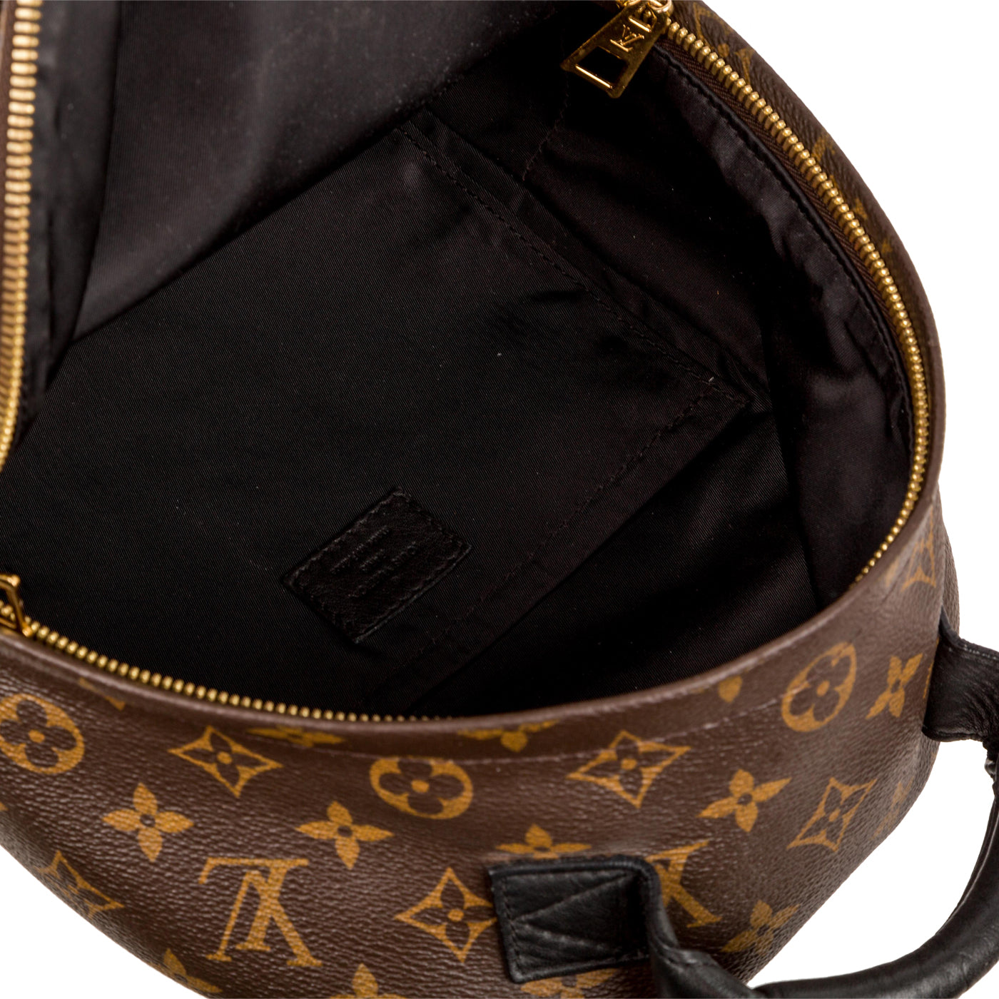 Louis Vuitton Palm Springs Backpack PM